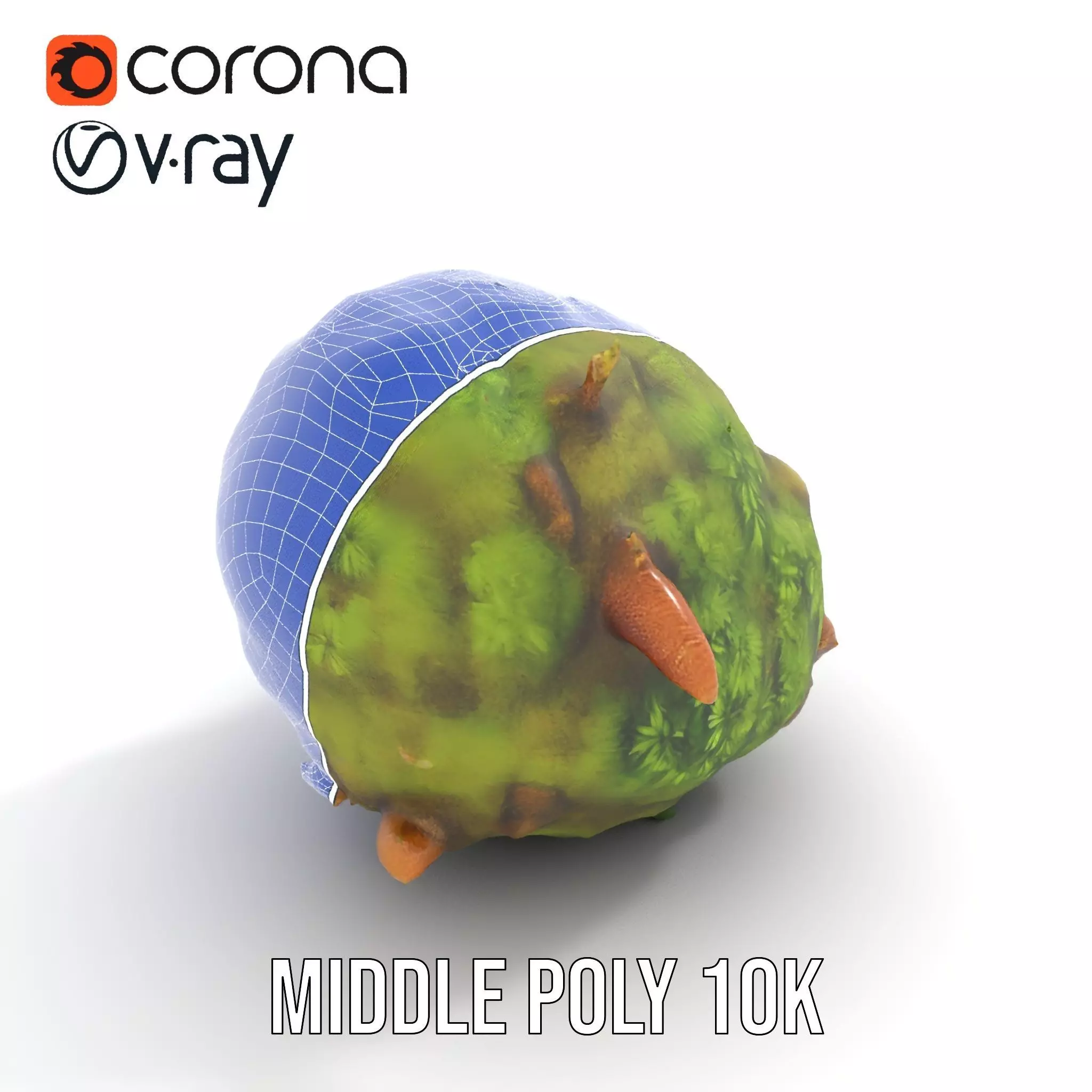 Lush Forest Moss model pack Low-poly 3D model_27