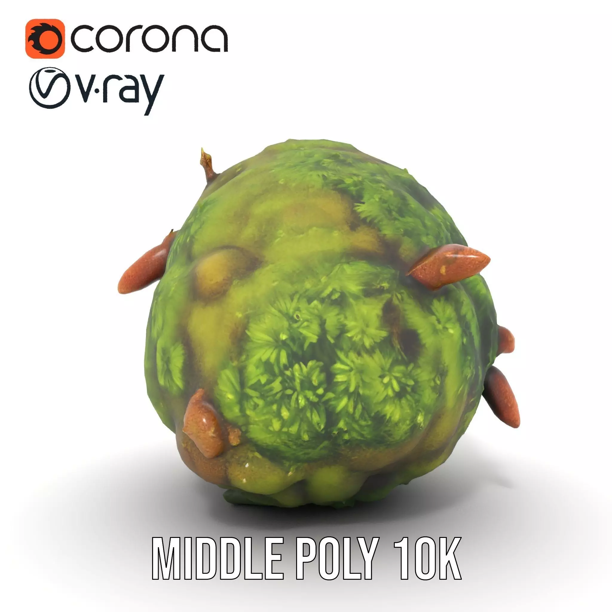 Lush Forest Moss model pack Low-poly 3D model_5