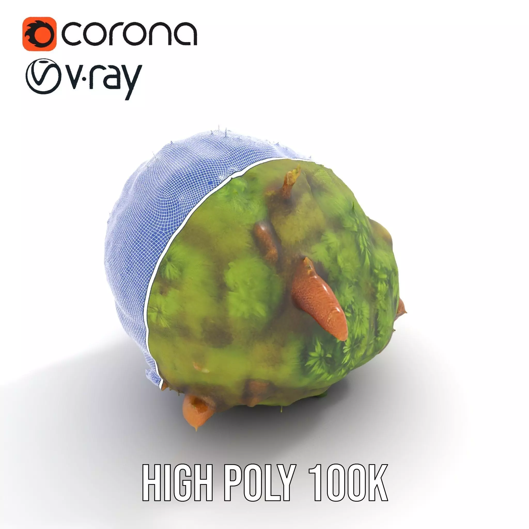 Lush Forest Moss model pack Low-poly 3D model_34