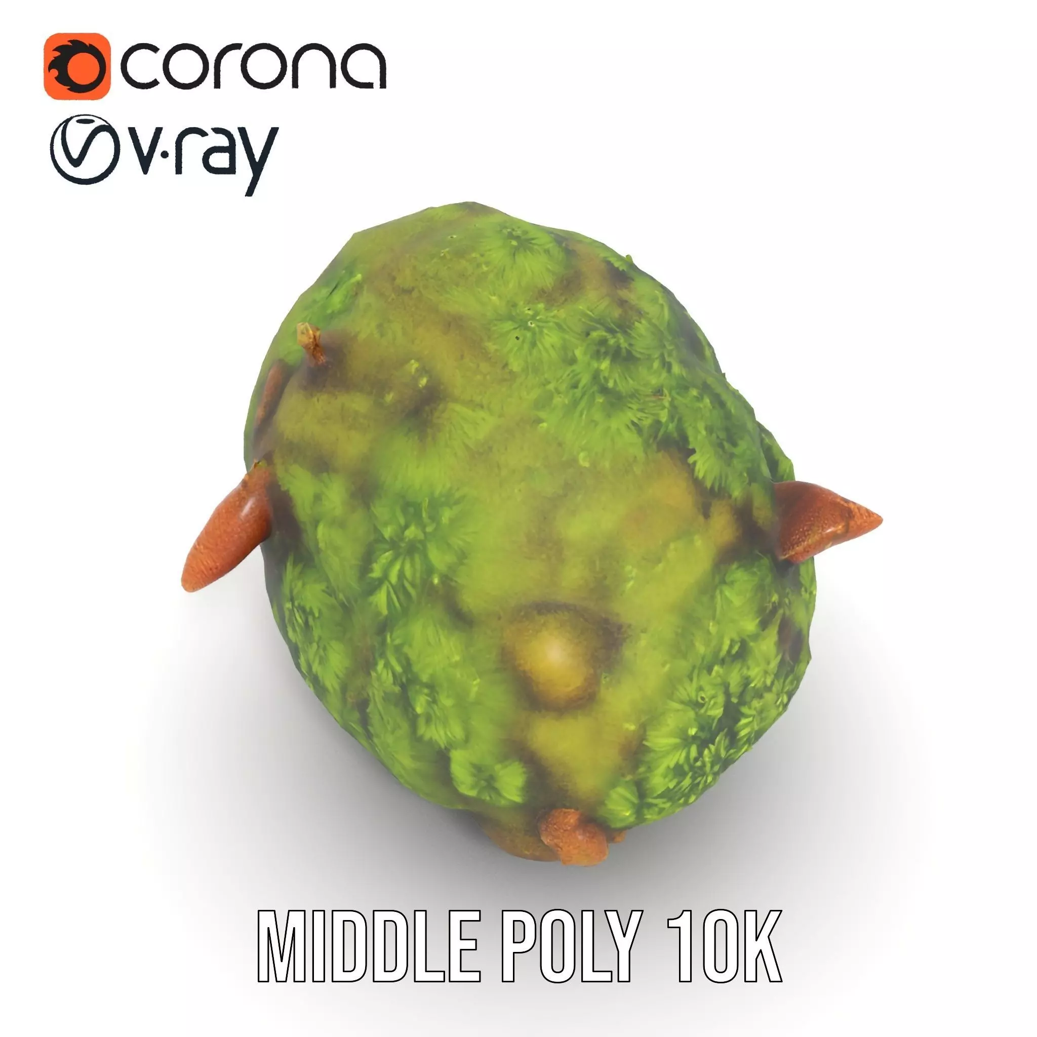 Lush Forest Moss model pack Low-poly 3D model_16