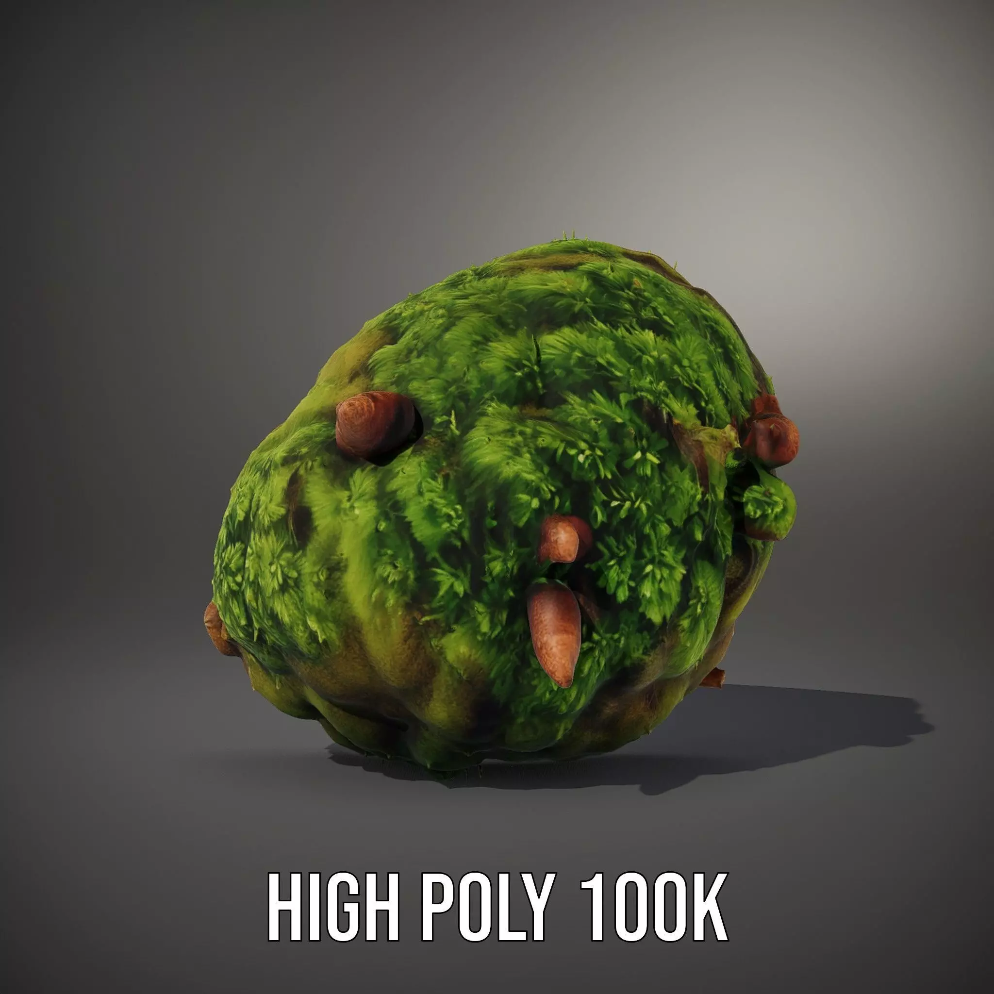 Lush Forest Moss model pack Low-poly 3D model_12