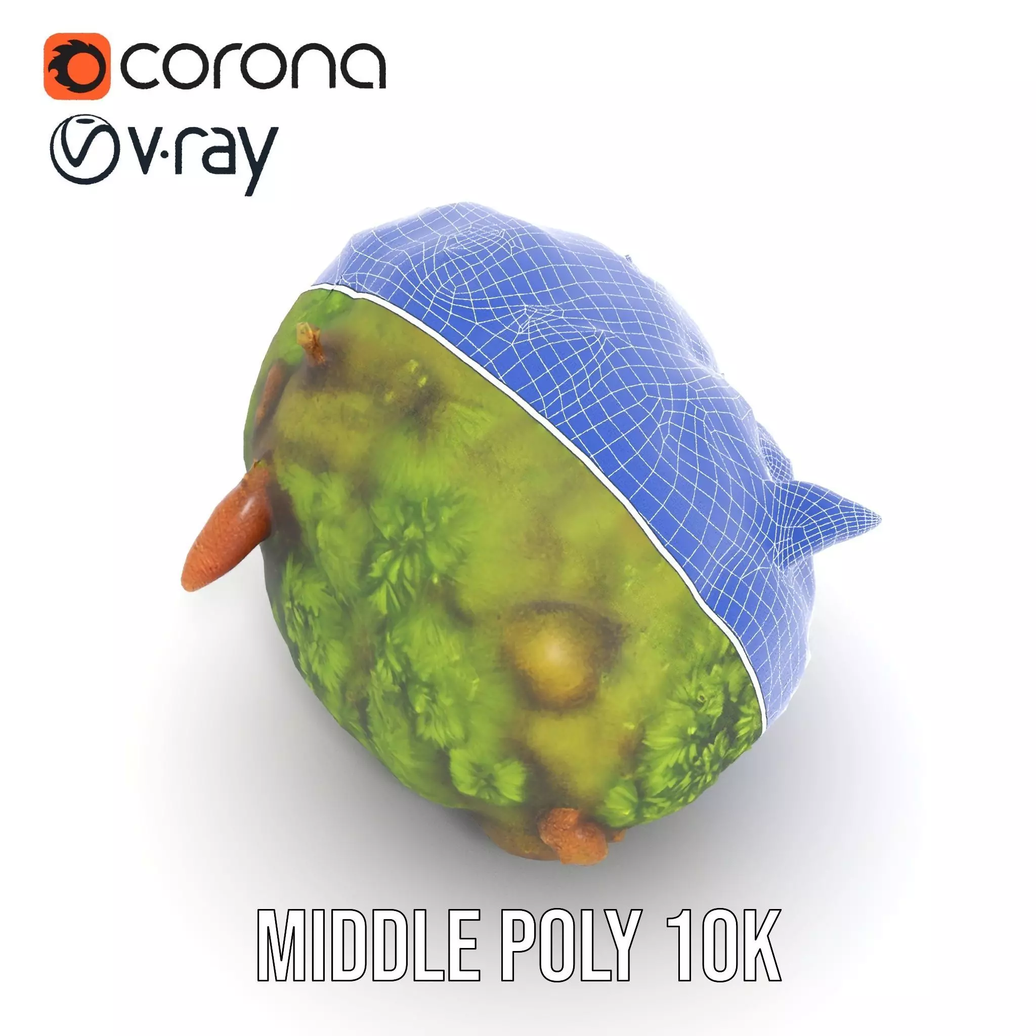 Lush Forest Moss model pack Low-poly 3D model_25