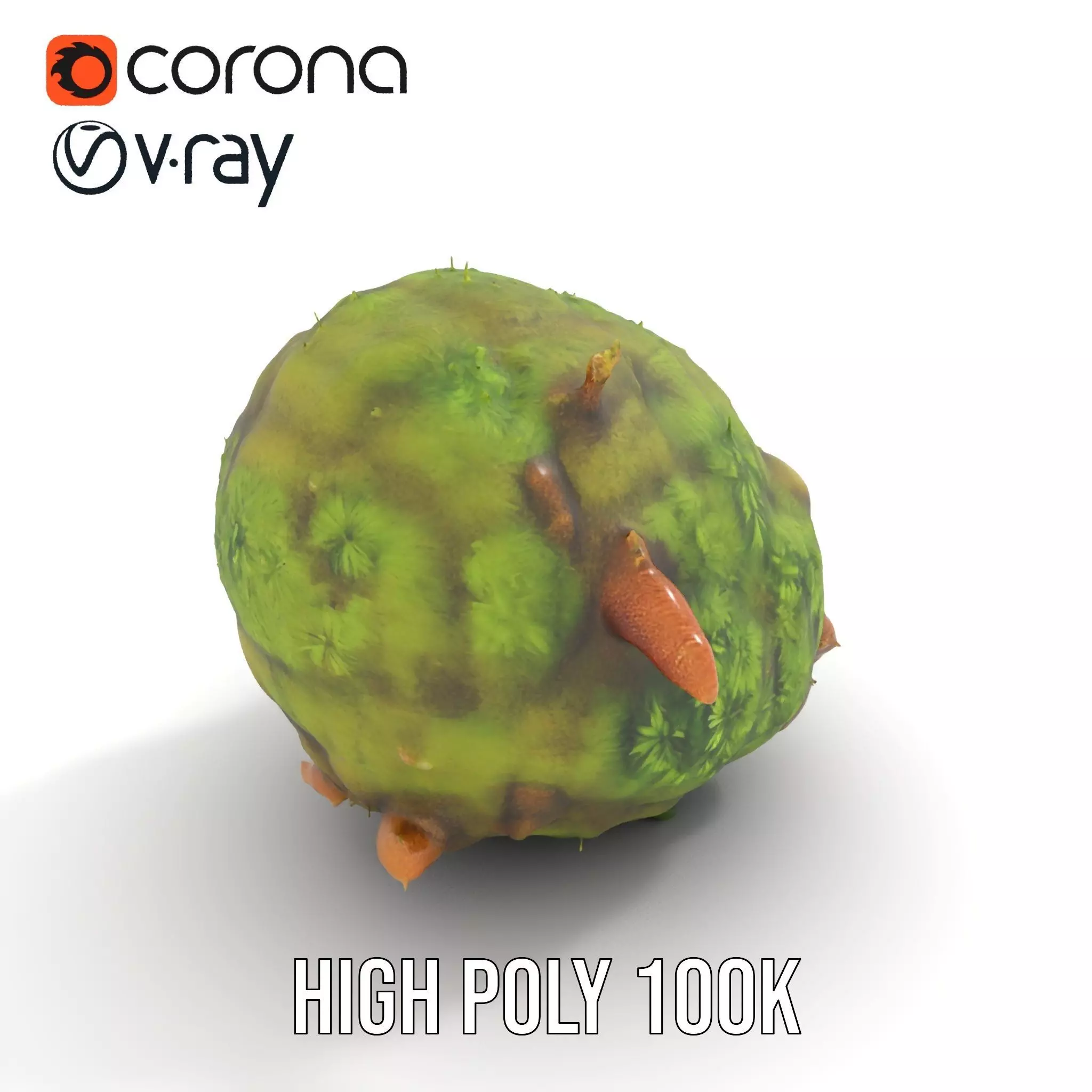 Lush Forest Moss model pack Low-poly 3D model_15