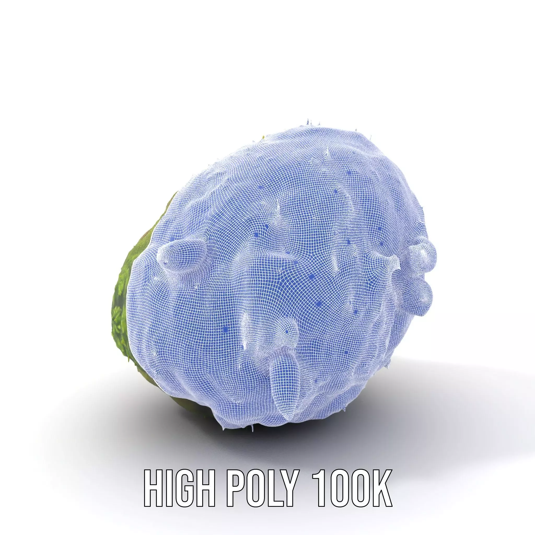 Lush Forest Moss model pack Low-poly 3D model_4