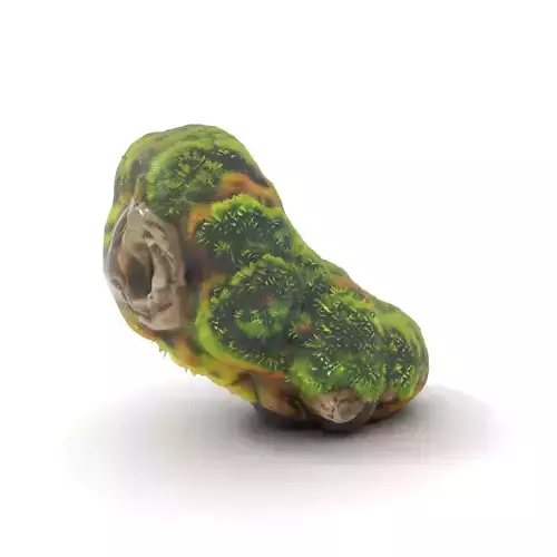 Verdant Moss Rock model pack
