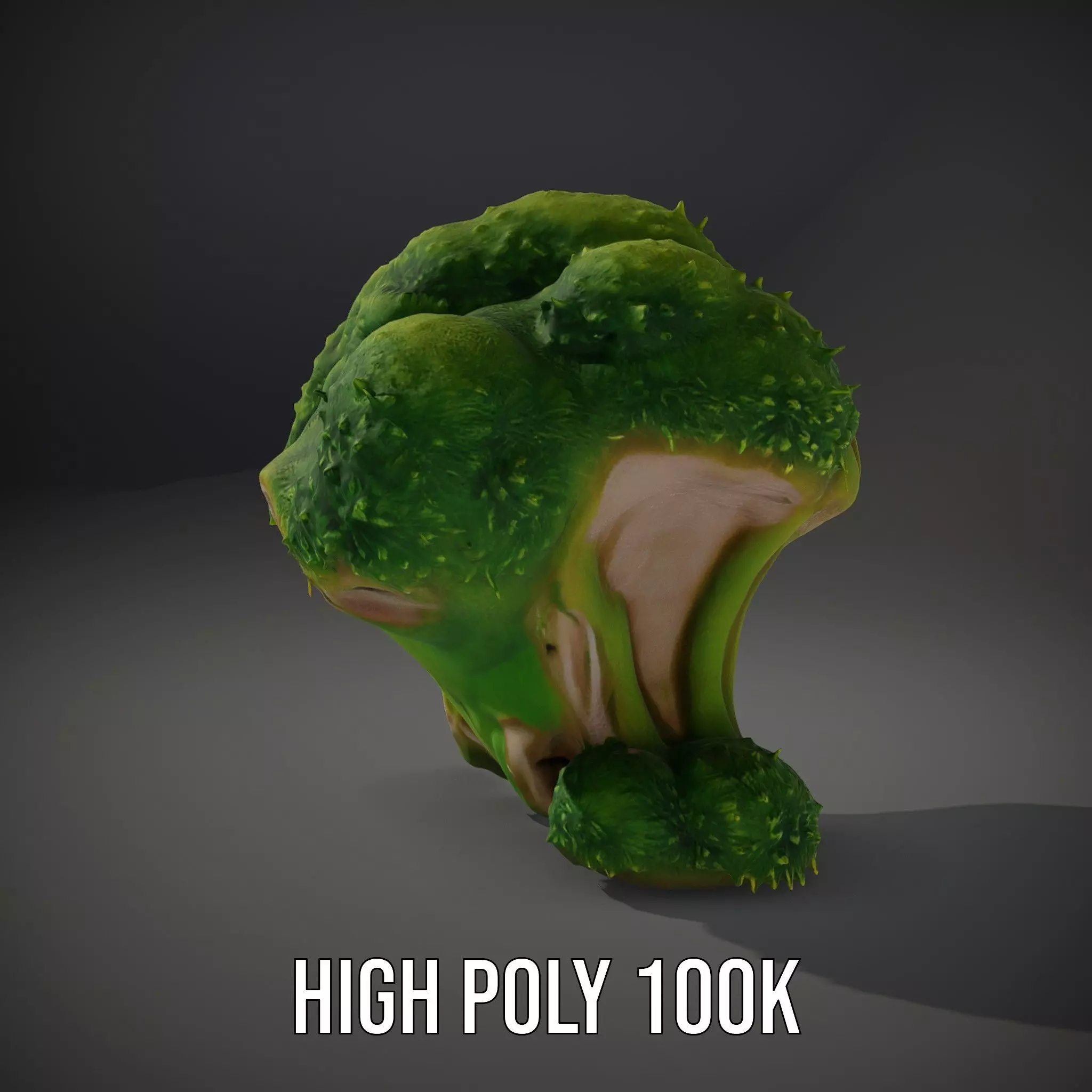 Lush Mossy Rock model pack Low-poly 3D model_10