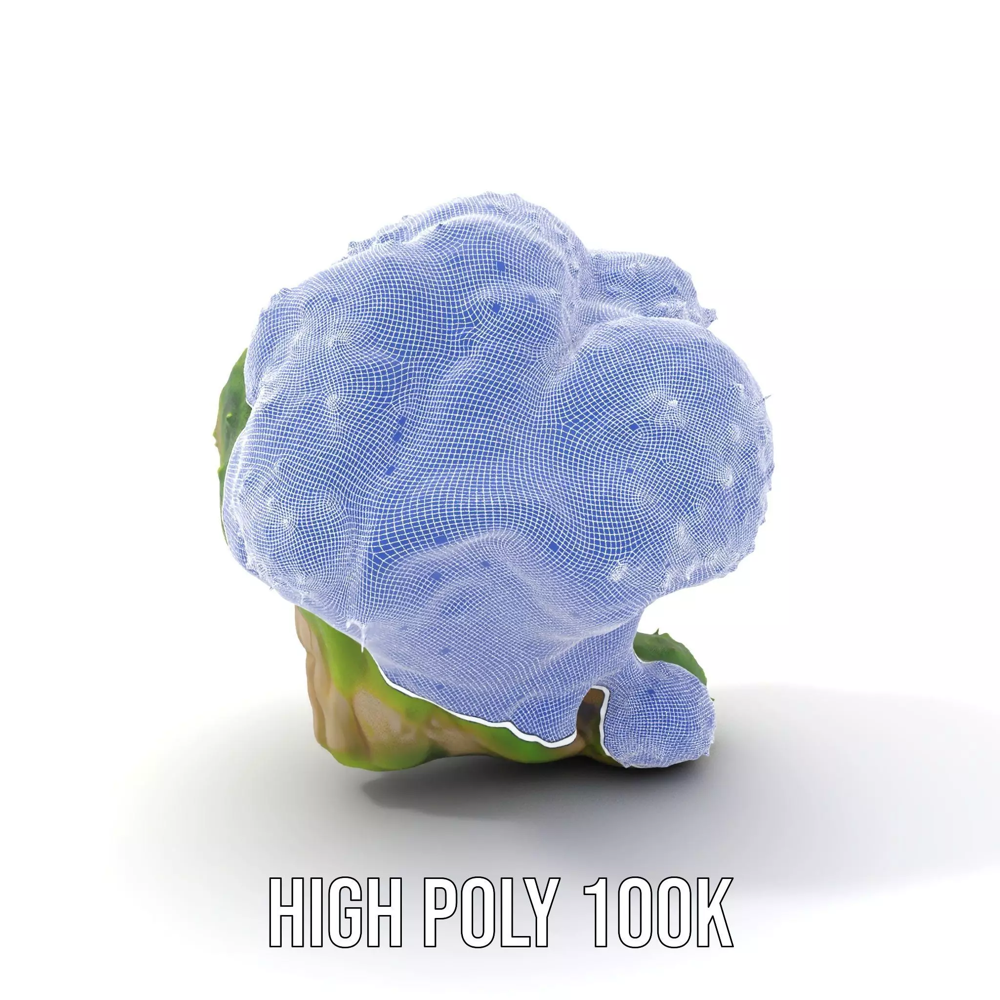 Lush Mossy Rock model pack Low-poly 3D model_4