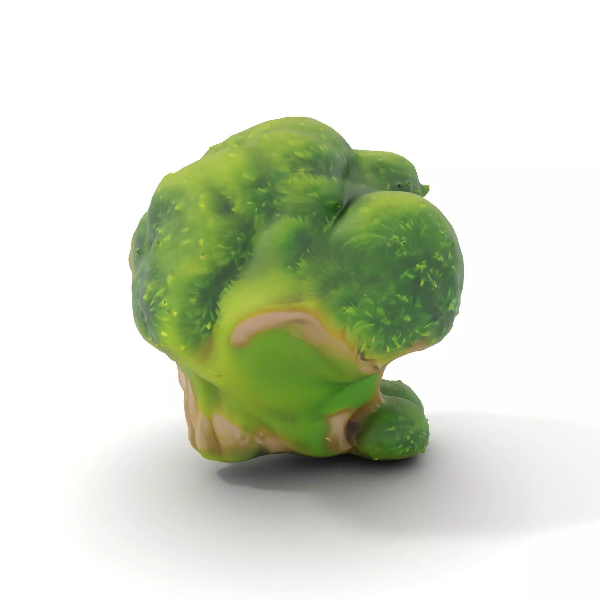 Lush Mossy Rock model pack Low-poly 3D model_13