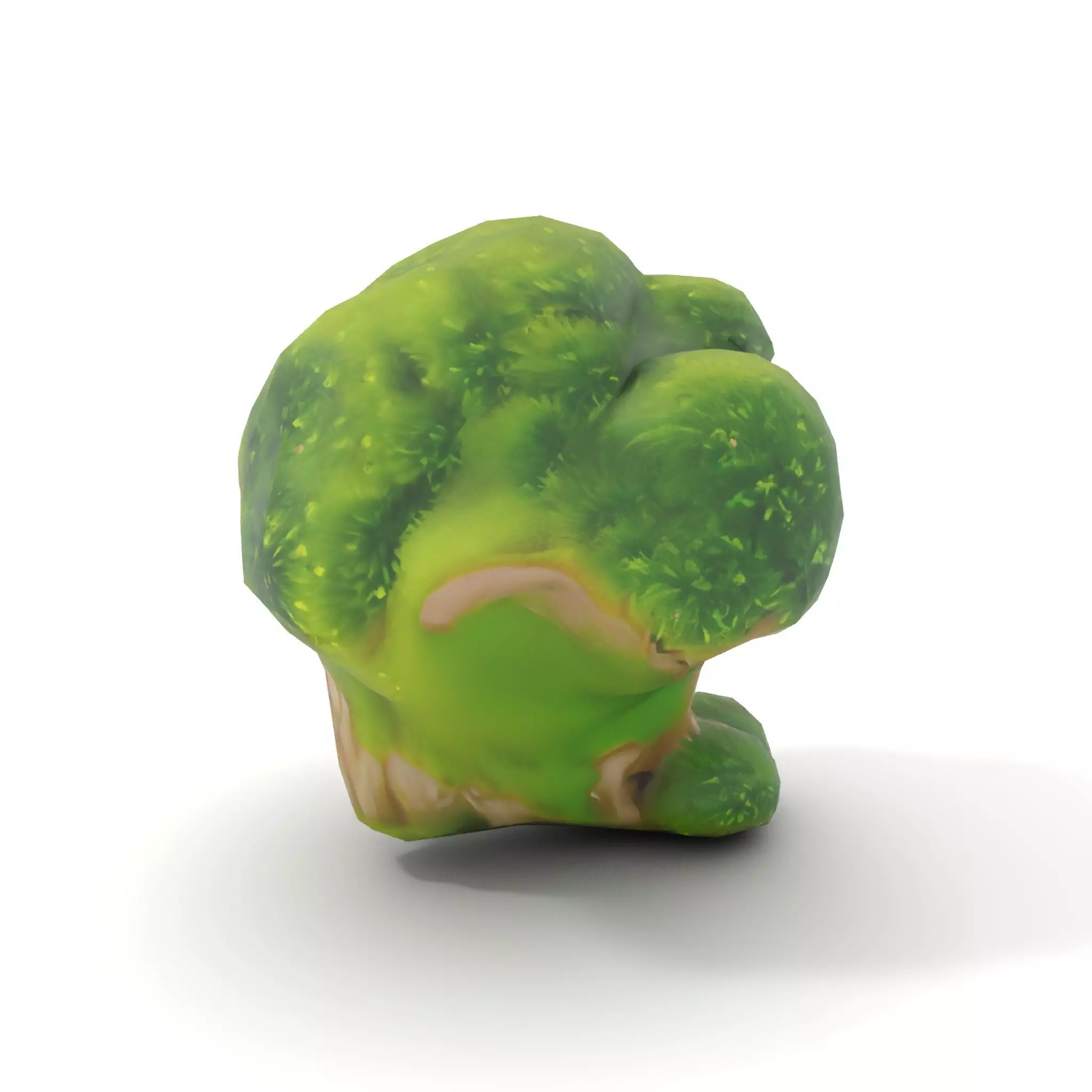 Lush Mossy Rock model pack Low-poly 3D model_17