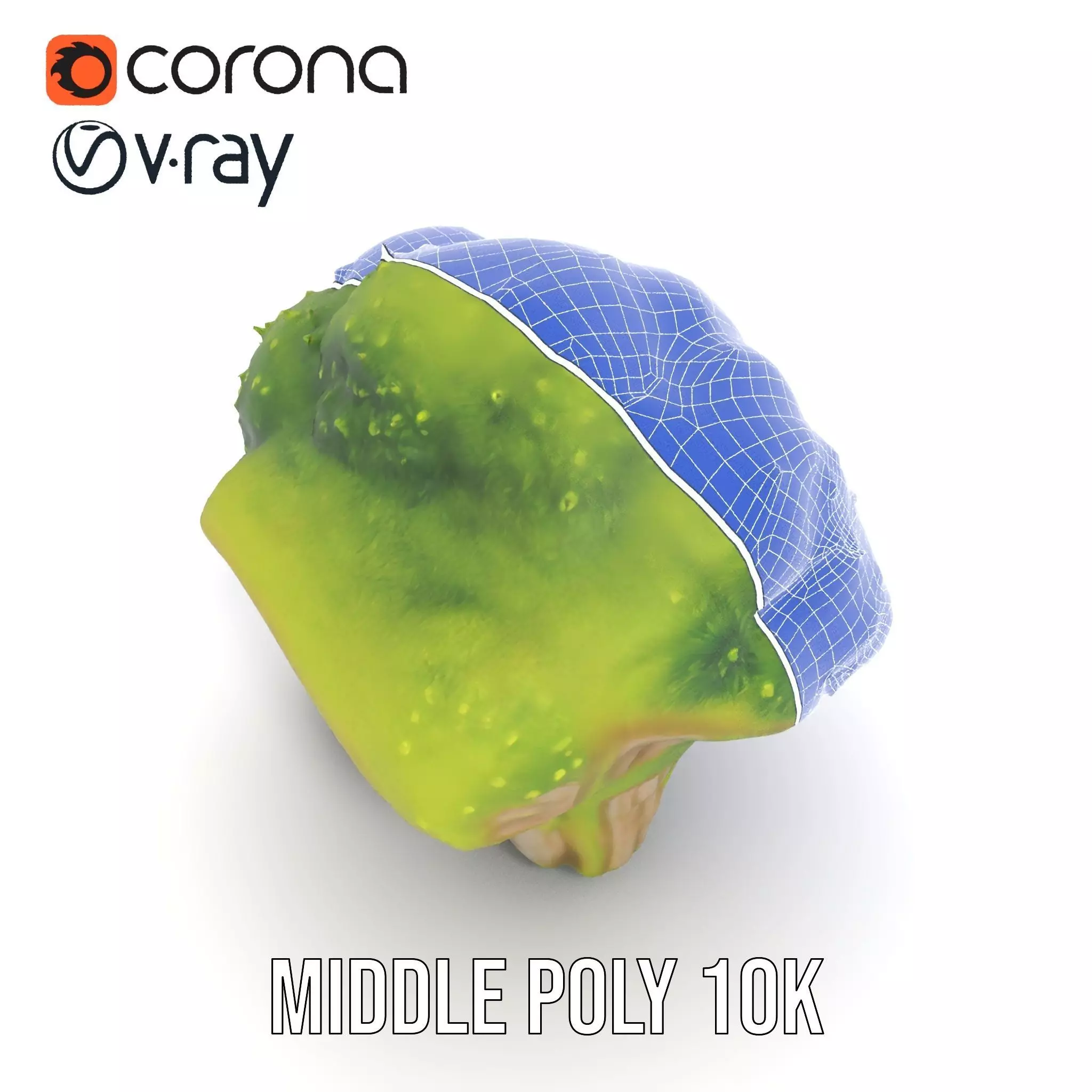 Lush Mossy Rock model pack Low-poly 3D model_27