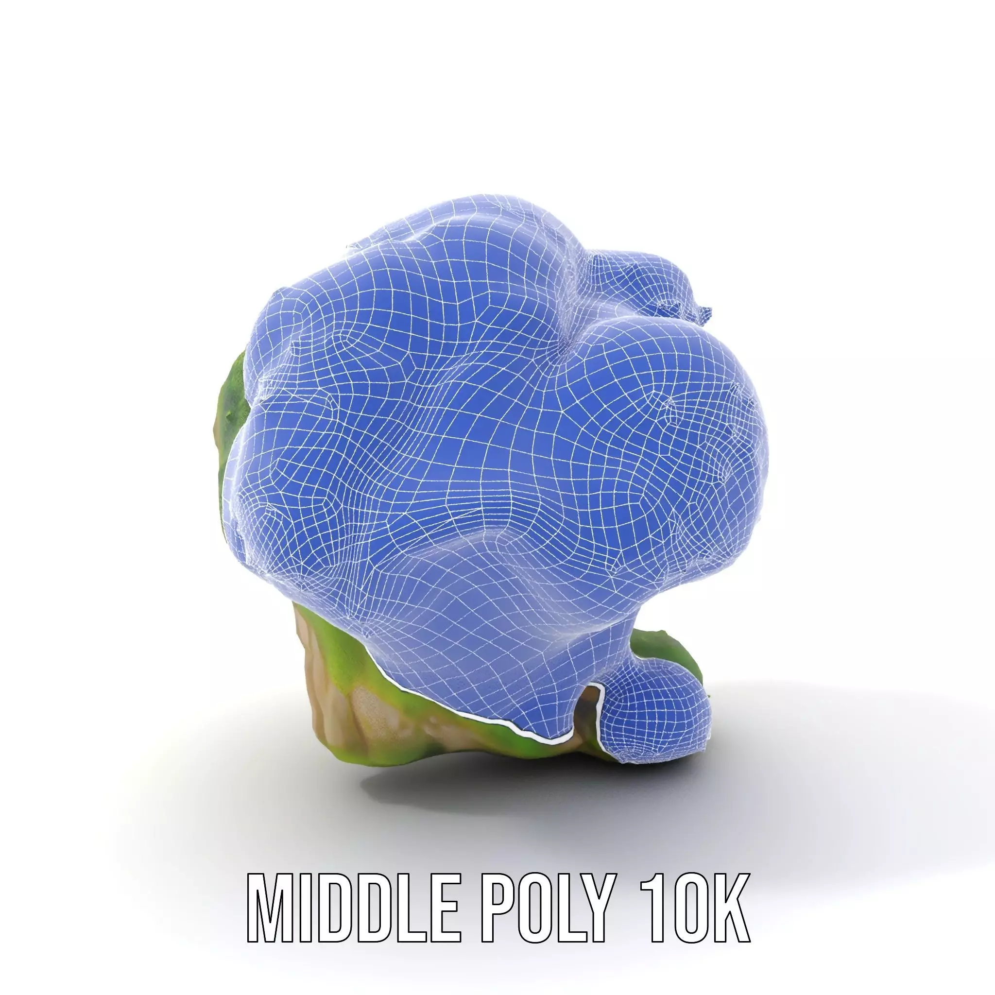 Lush Mossy Rock model pack Low-poly 3D model_24