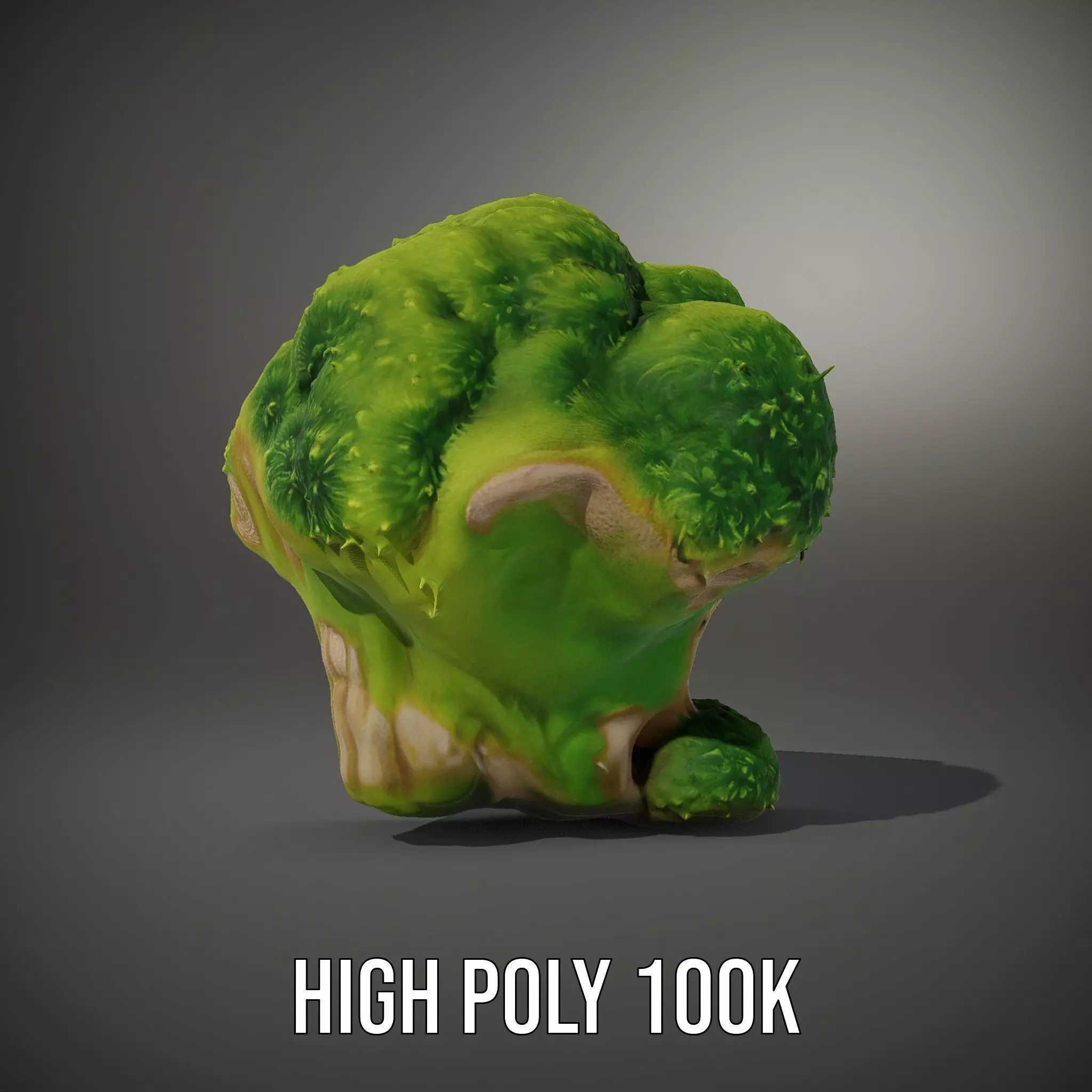 Lush Mossy Rock model pack Low-poly 3D model_8