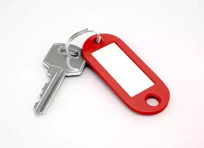 Key And Tag 3D model