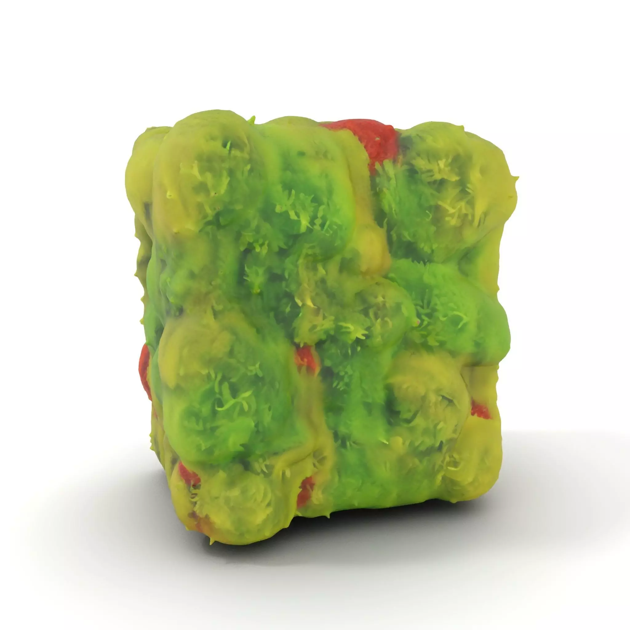 Lush Green Moss model pack Low-poly 3D model_0