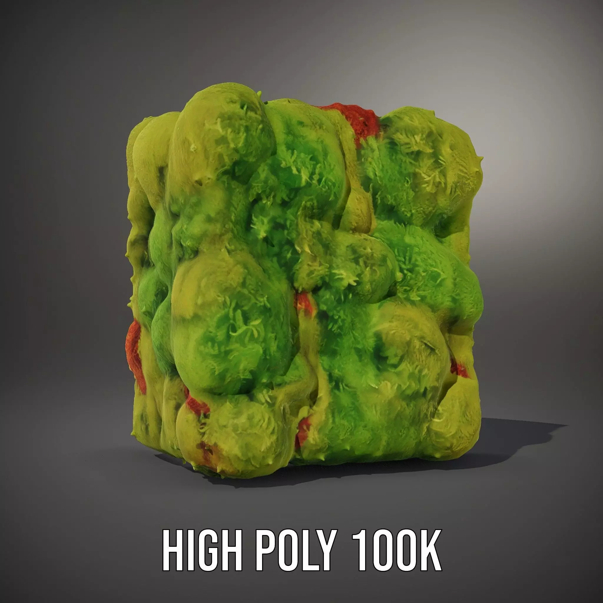 Lush Green Moss model pack Low-poly 3D model_10