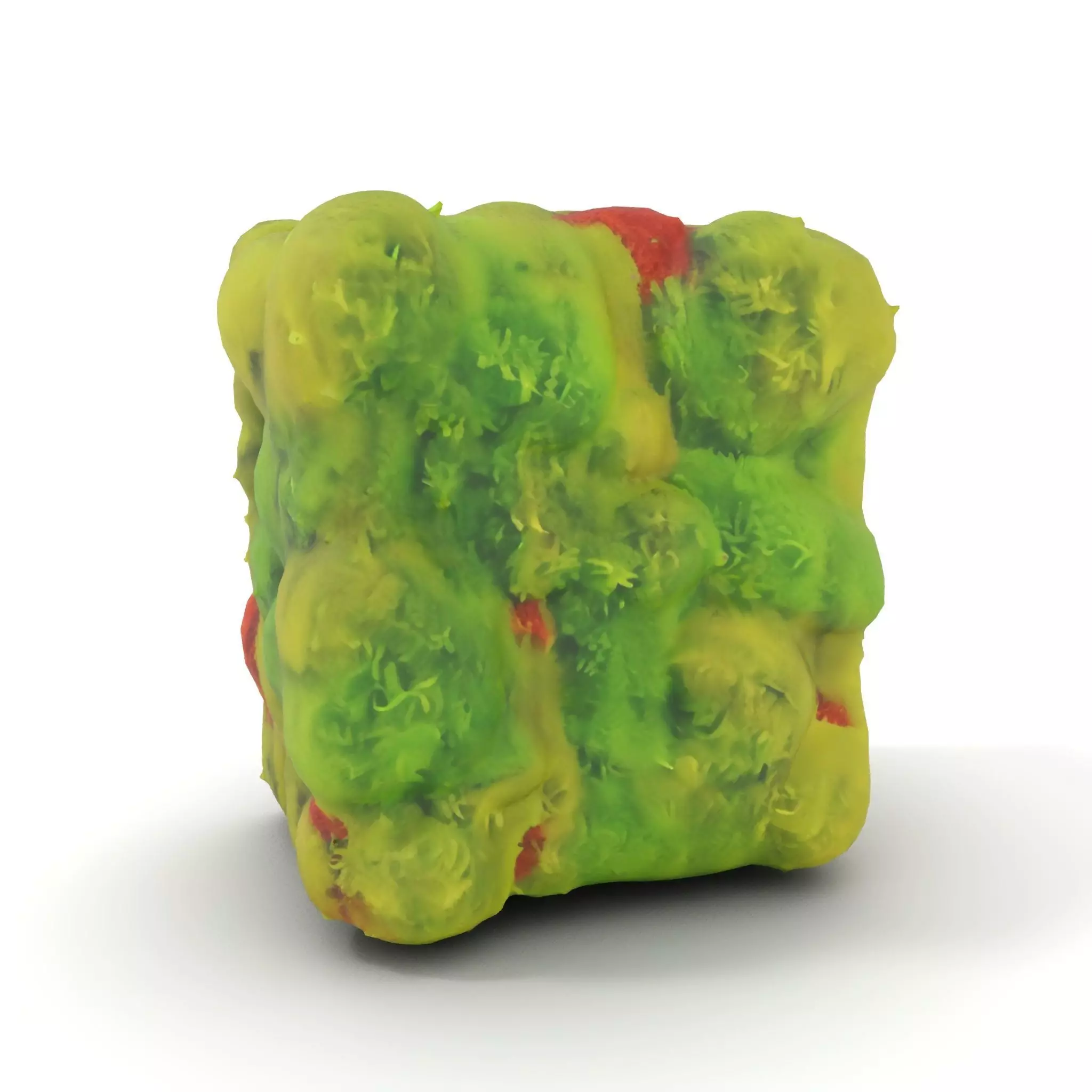 Lush Green Moss model pack Low-poly 3D model_6