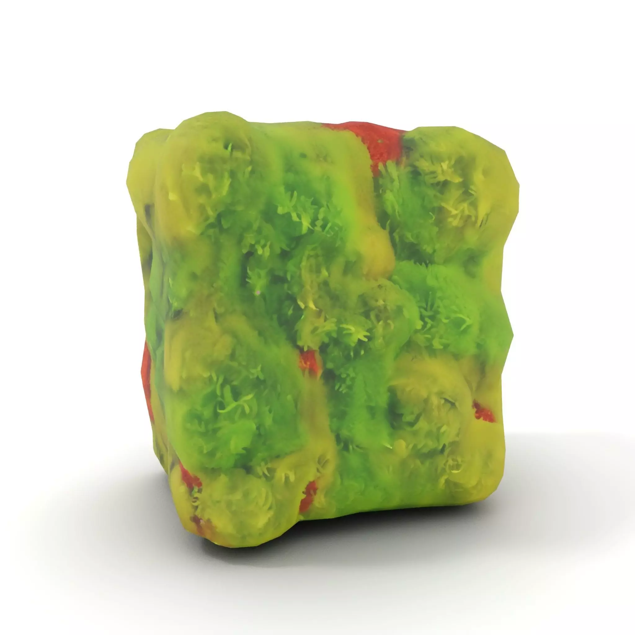 Lush Green Moss model pack Low-poly 3D model_7