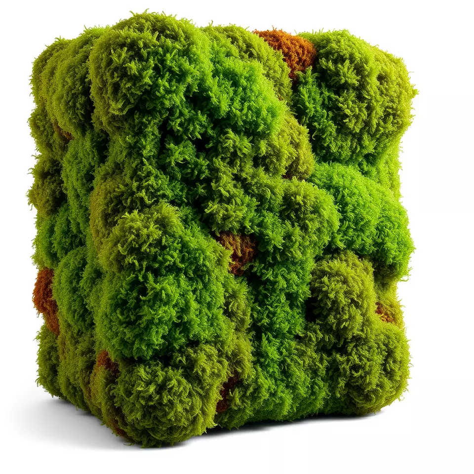 Lush Green Moss model pack Low-poly 3D model_2