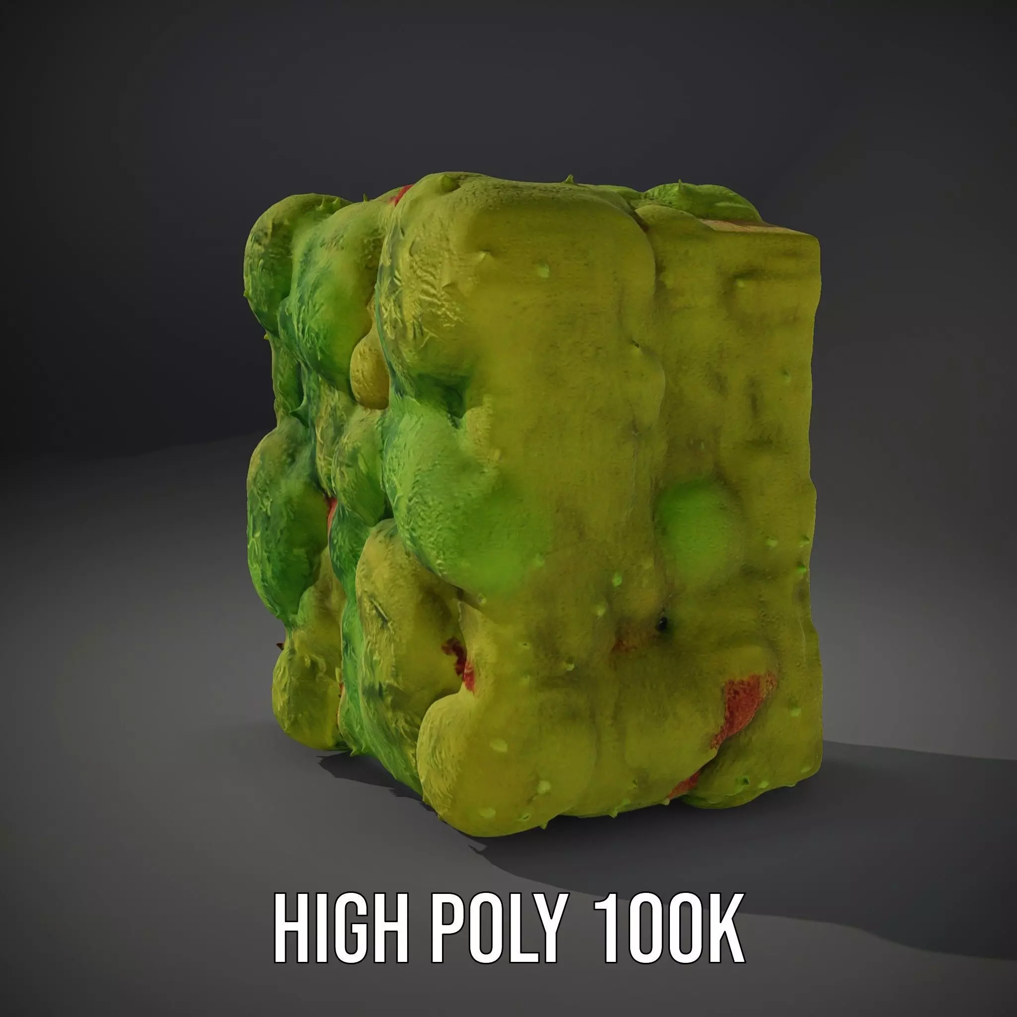 Lush Green Moss model pack Low-poly 3D model_8