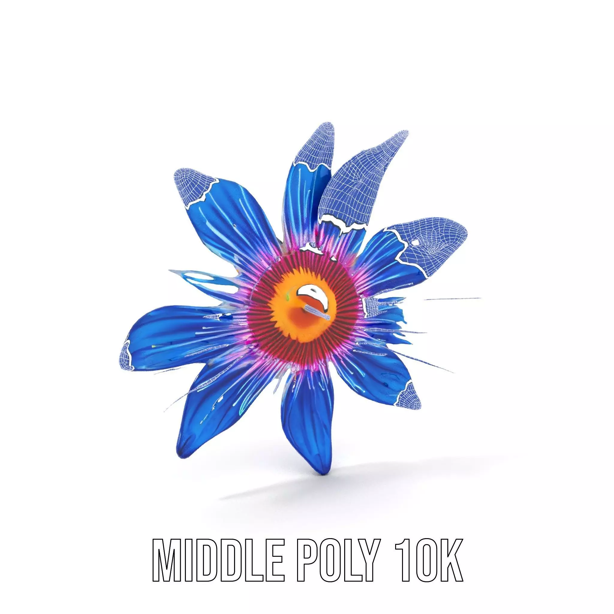 Vivid Blue Blossom model pack Low-poly 3D model_13