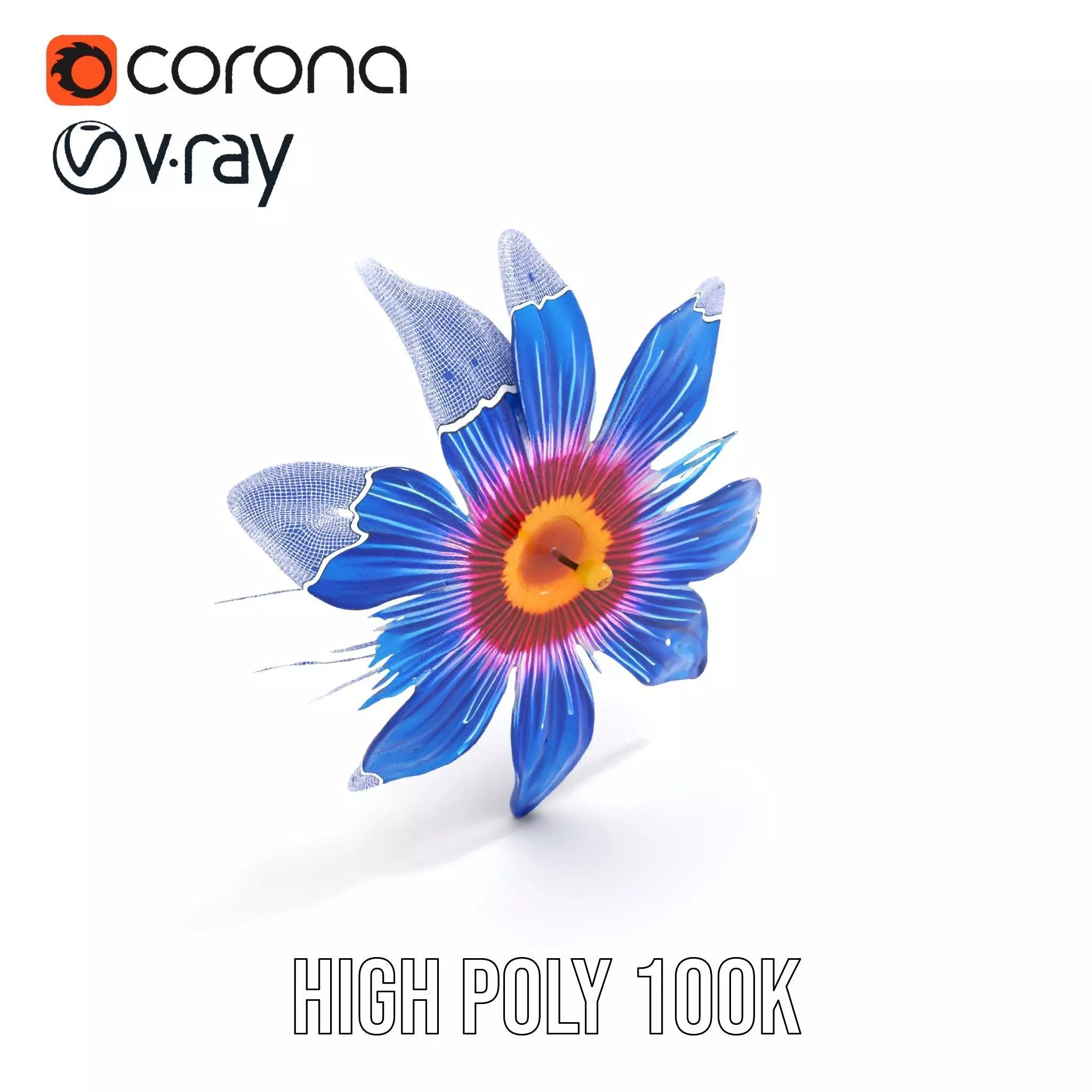 Vivid Blue Blossom model pack Low-poly 3D model_33