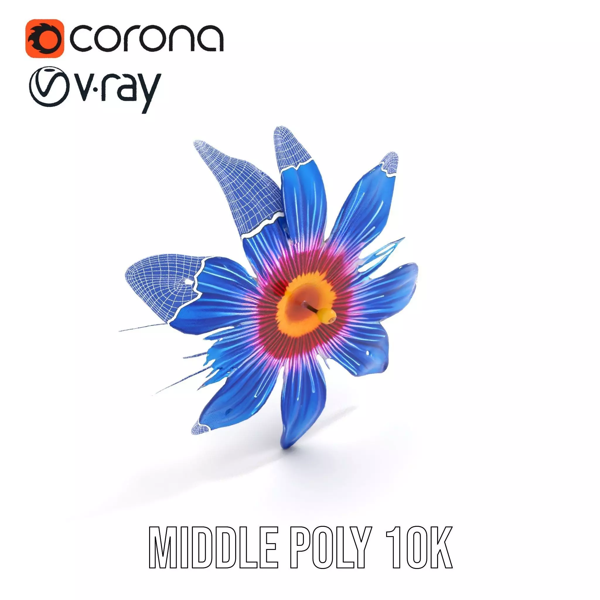 Vivid Blue Blossom model pack Low-poly 3D model_11