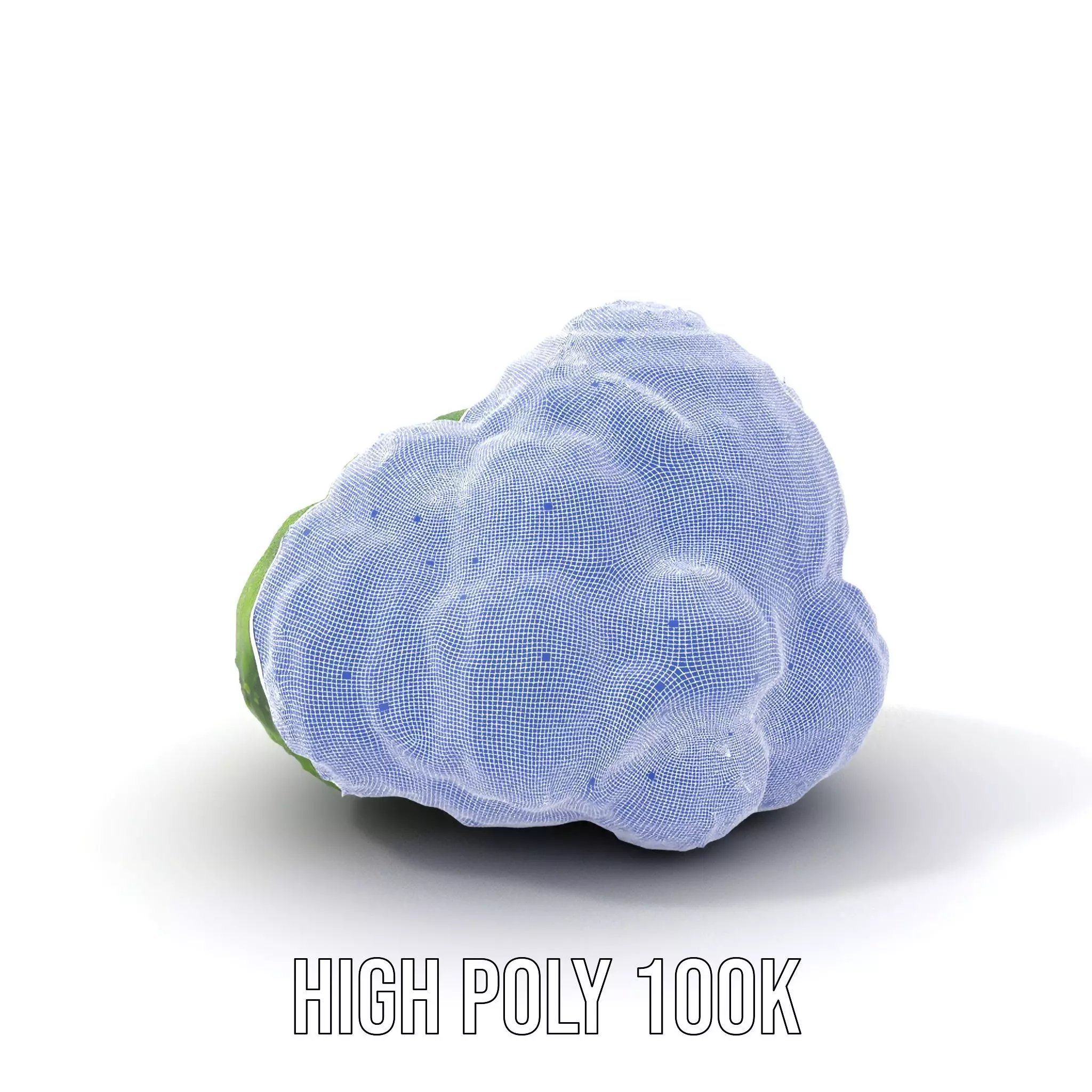 Vibrant Mossy Texture model pack Texture_4