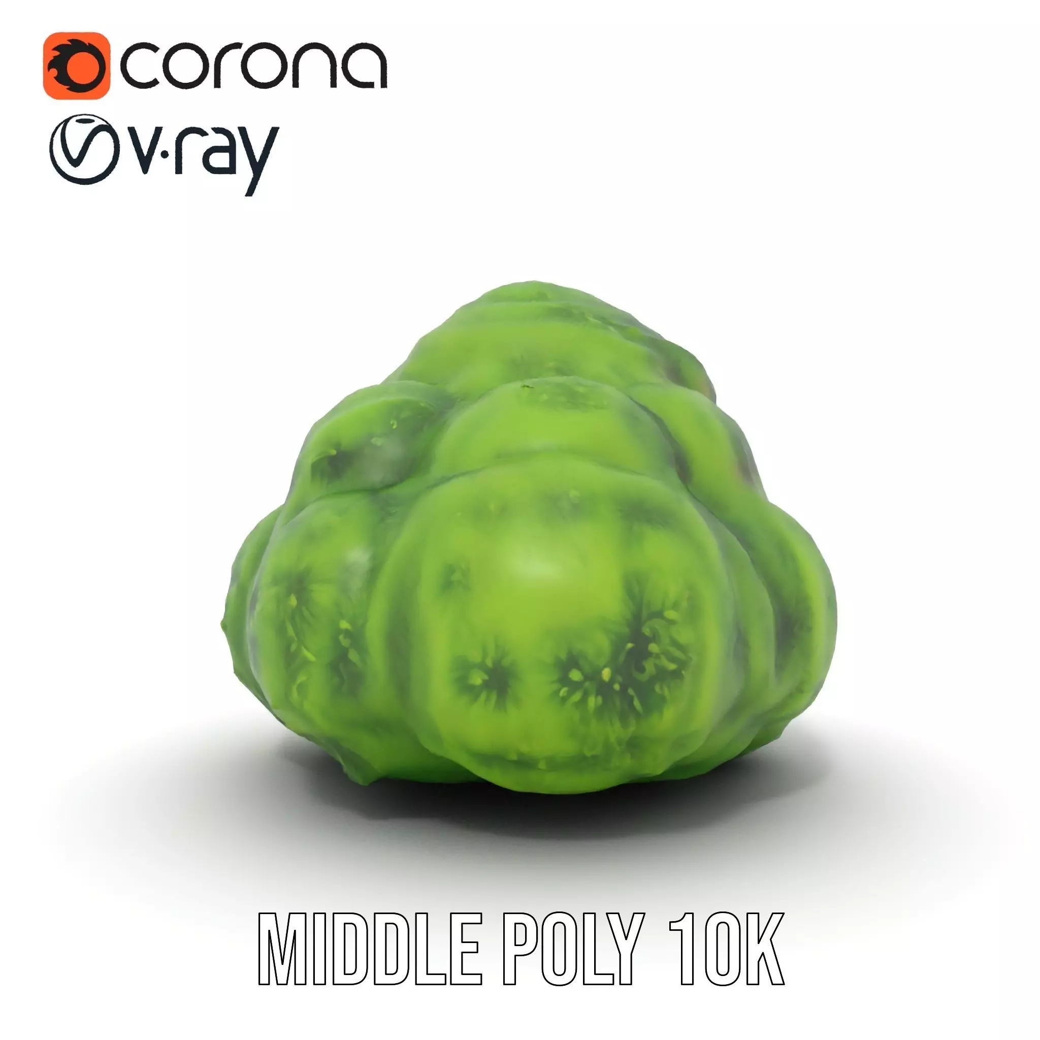 Vibrant Mossy Texture model pack Texture_11