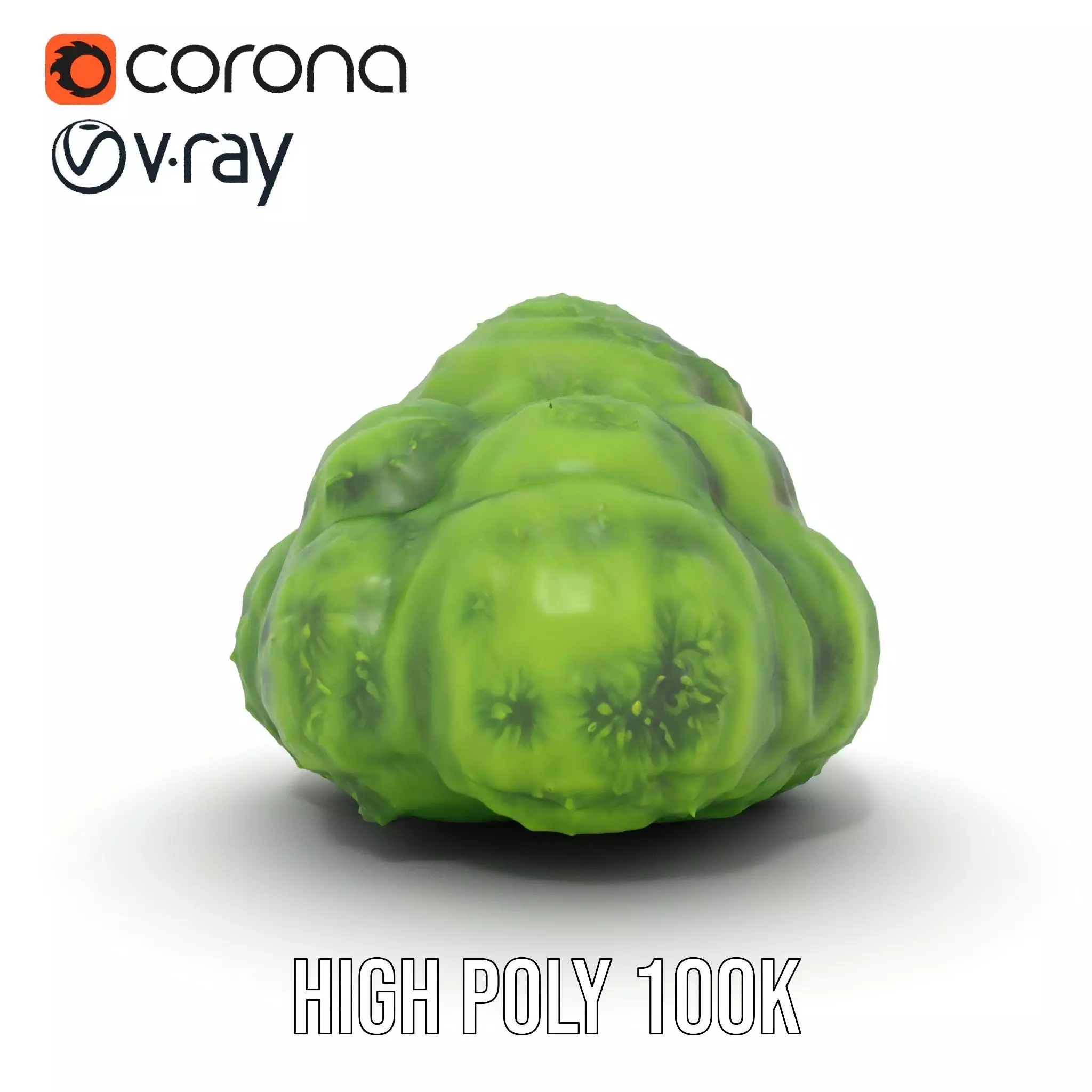 Vibrant Mossy Texture model pack Texture_26