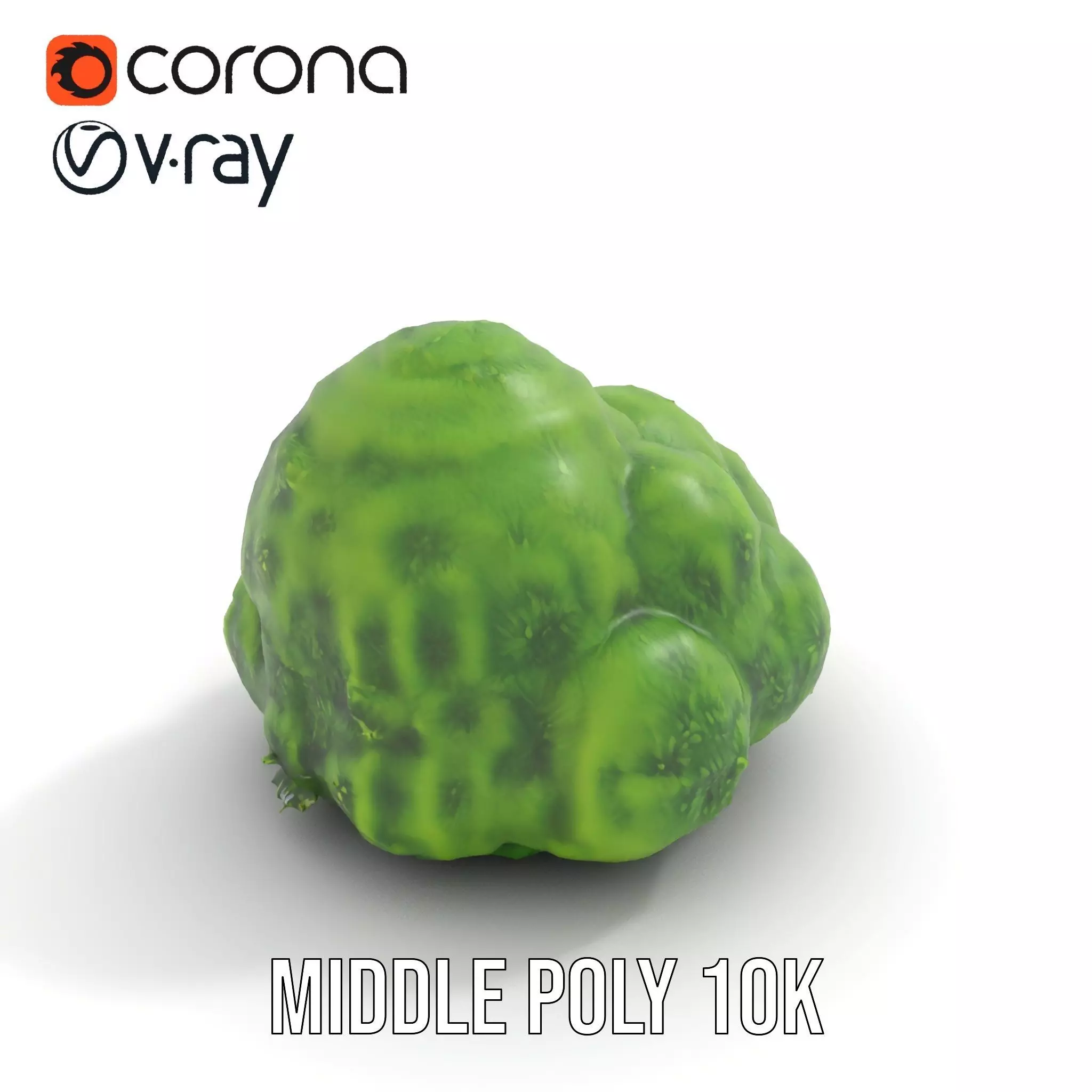 Vibrant Mossy Texture model pack Texture_5