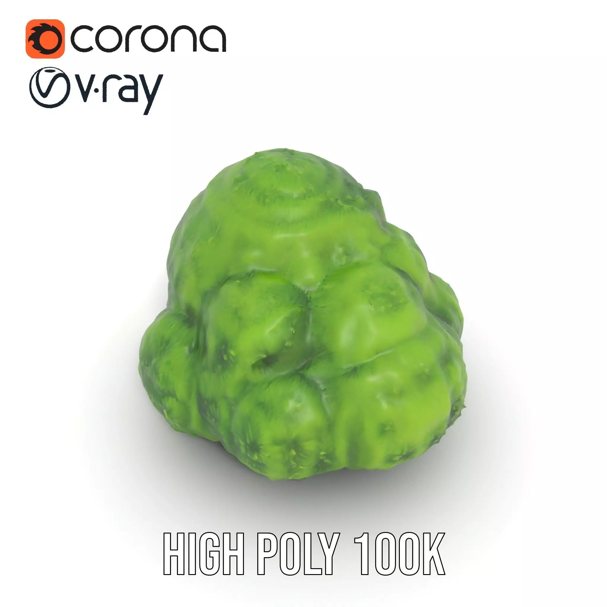 Vibrant Mossy Texture model pack Texture_17