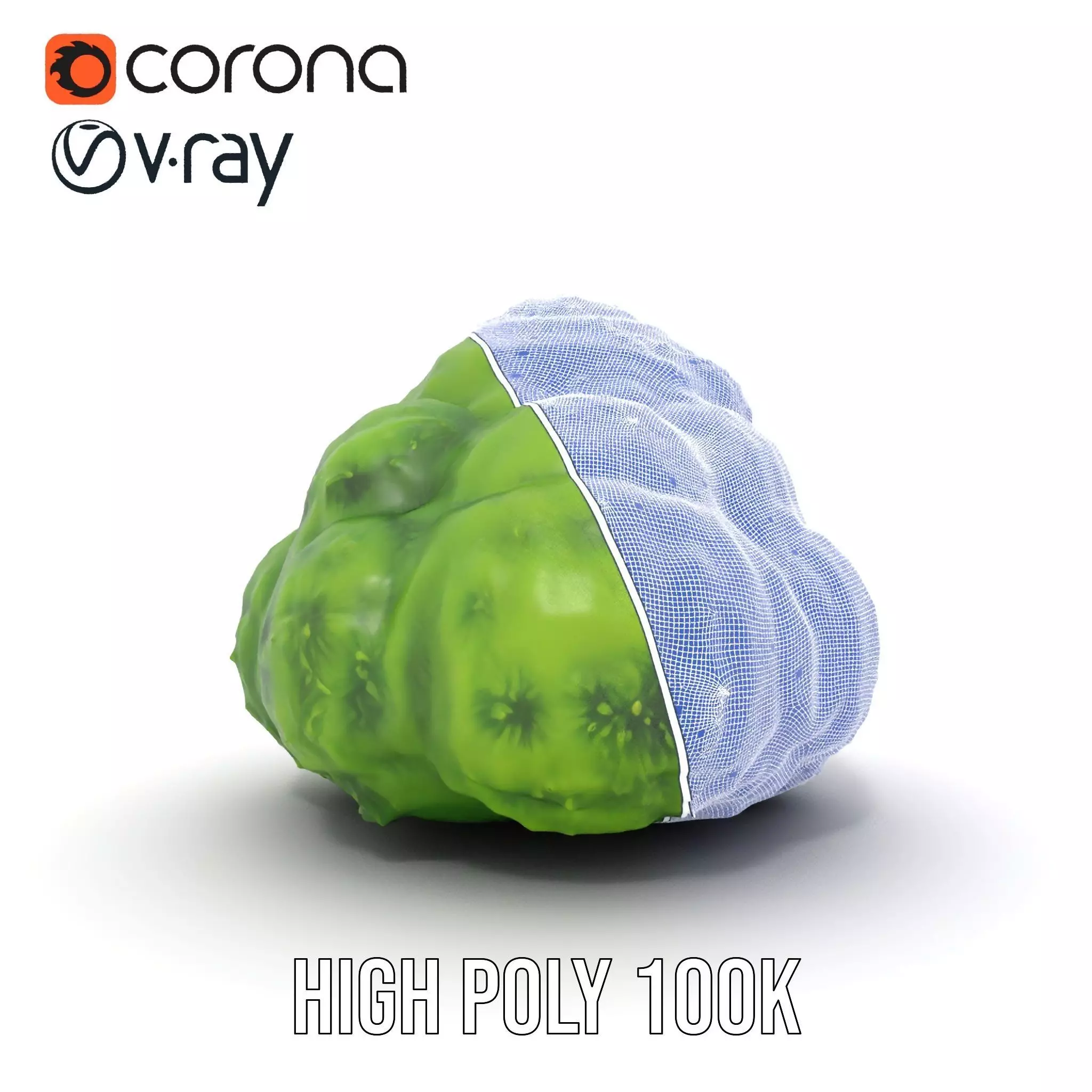 Vibrant Mossy Texture model pack Texture_33