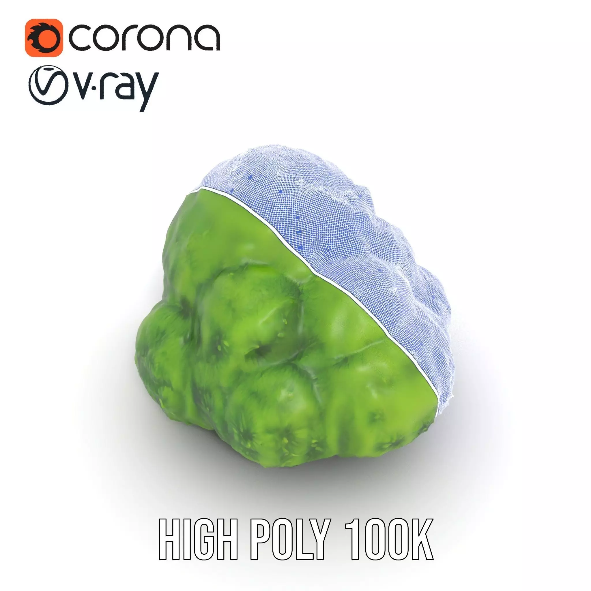 Vibrant Mossy Texture model pack Texture_23