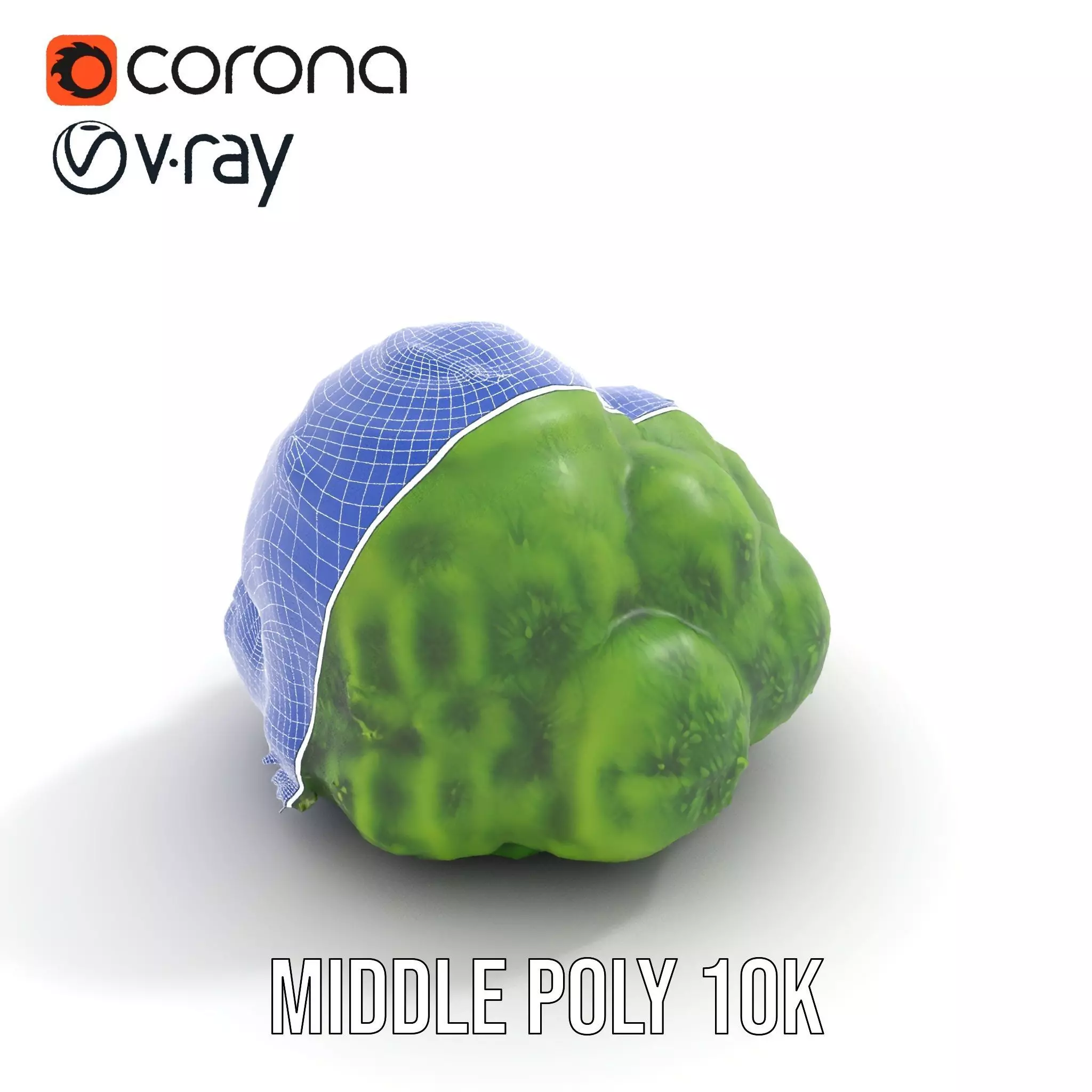 Vibrant Mossy Texture model pack Texture_24