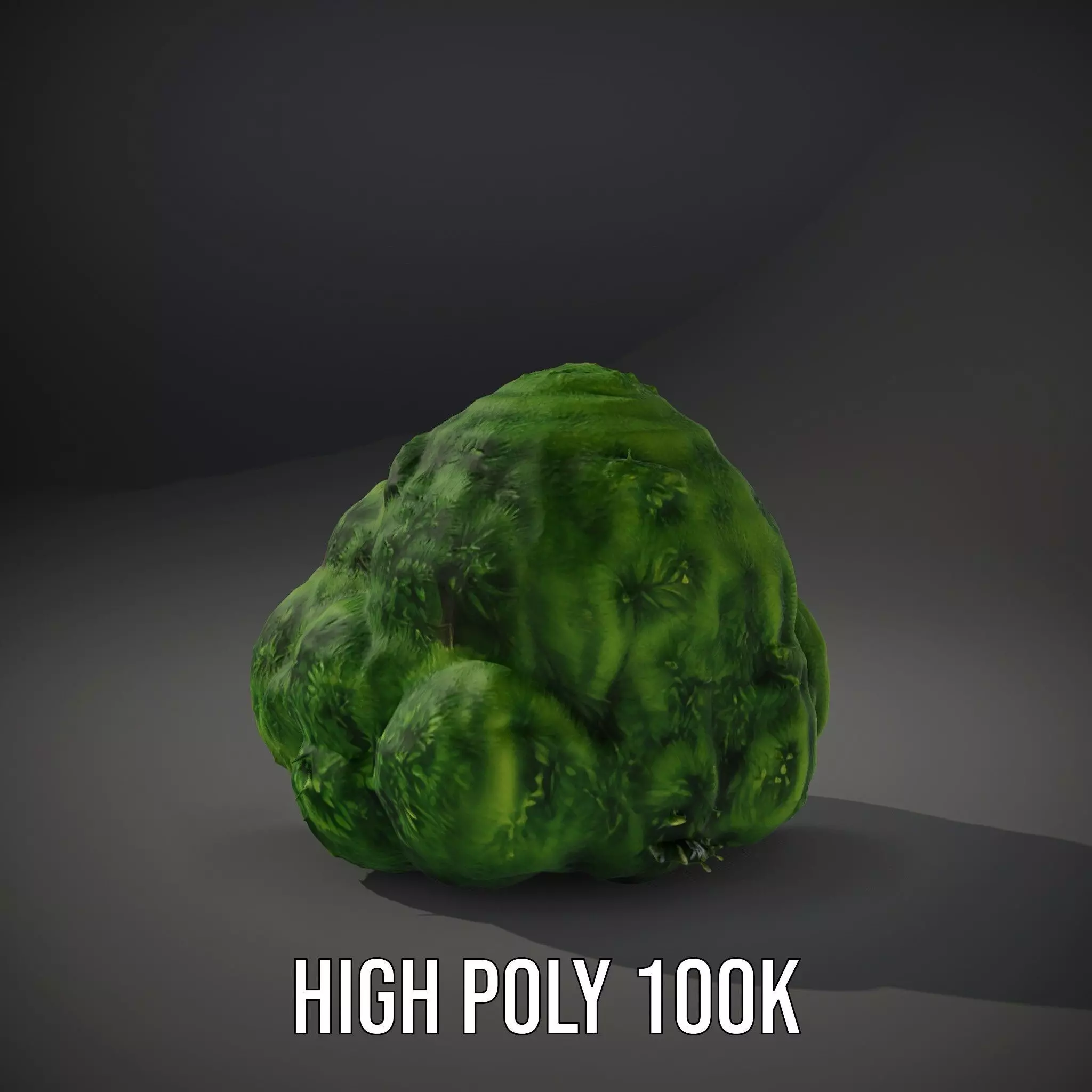 Vibrant Mossy Texture model pack Texture_8