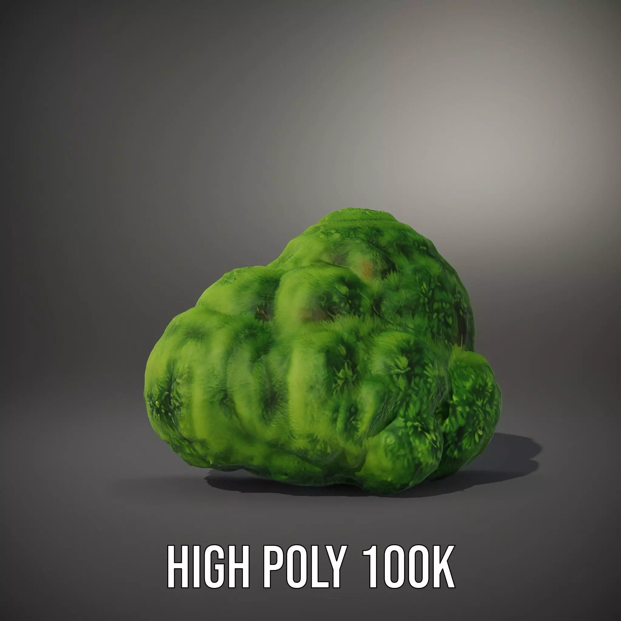 Vibrant Mossy Texture model pack Texture_10