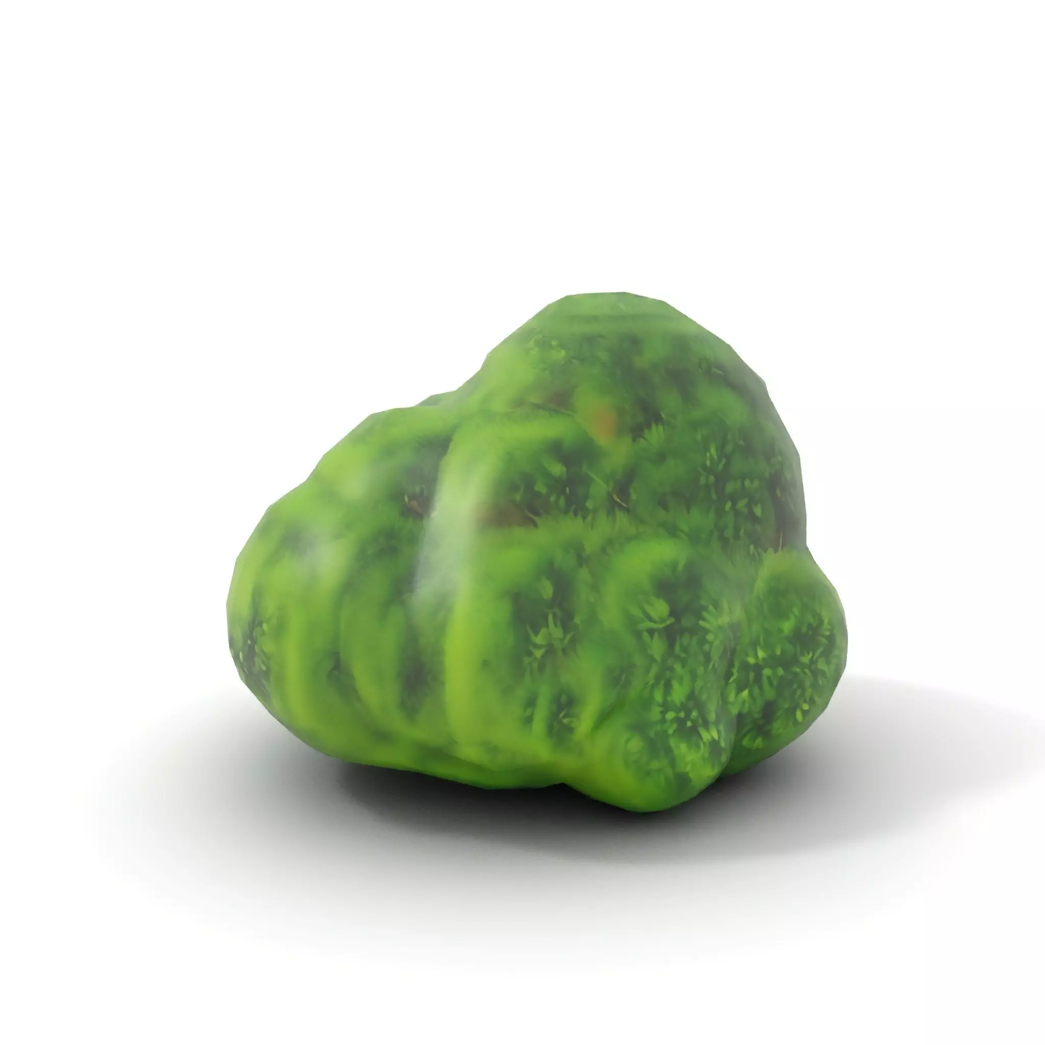 Vibrant Mossy Texture model pack Texture_7