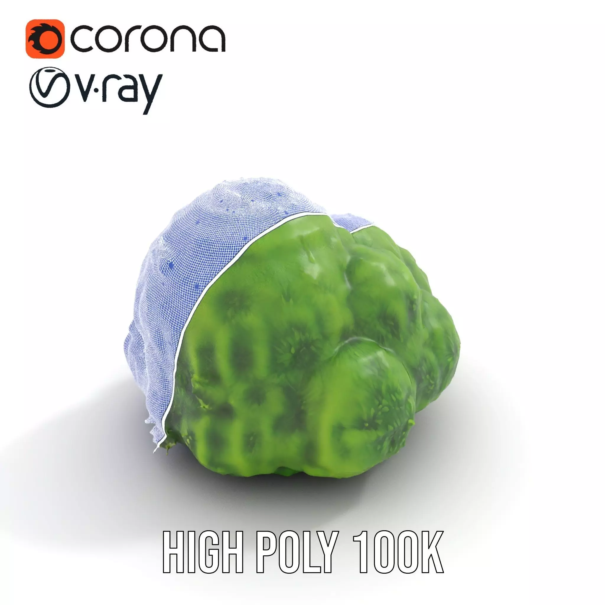 Vibrant Mossy Texture model pack Texture_34