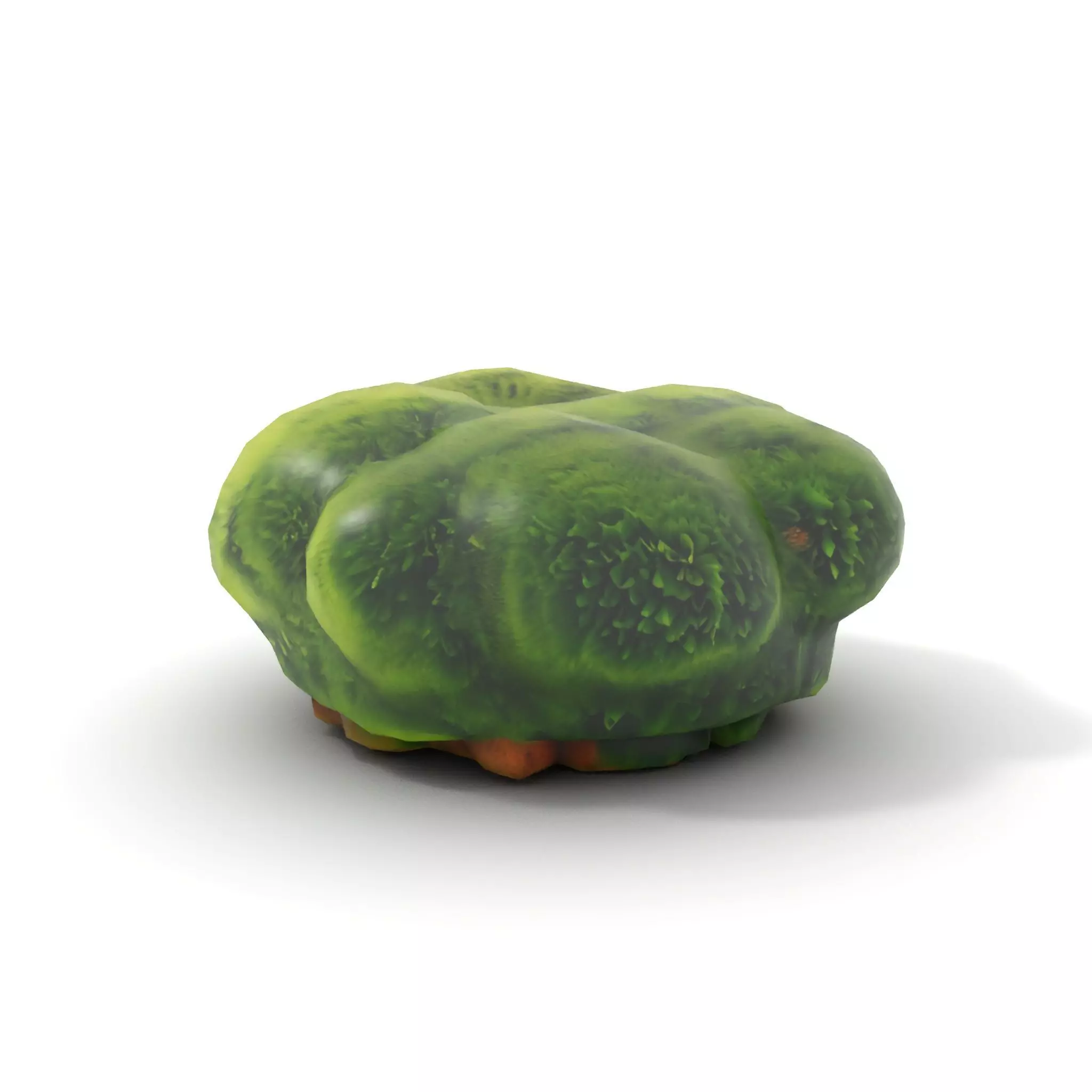 Vibrant Green Moss Clump model pack Low-poly 3D model_12