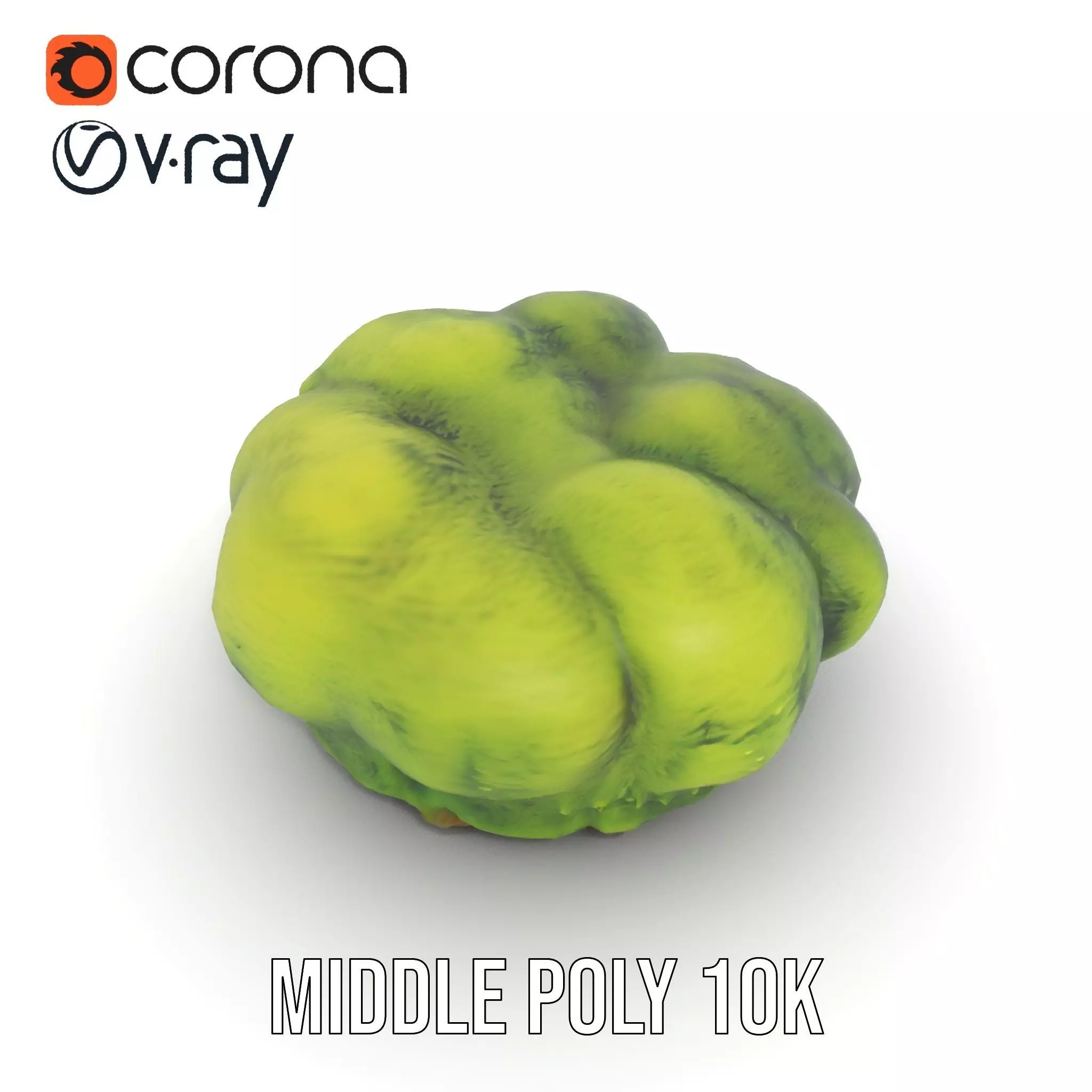 Vibrant Green Moss Clump model pack Low-poly 3D model_13