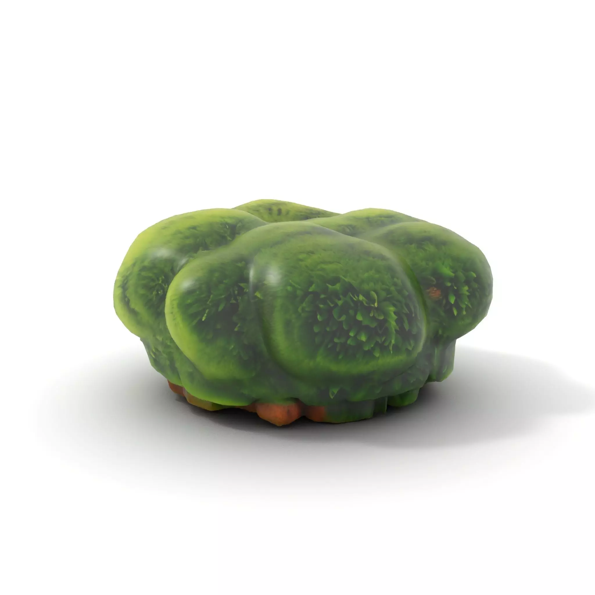 Vibrant Green Moss Clump model pack Low-poly 3D model_6