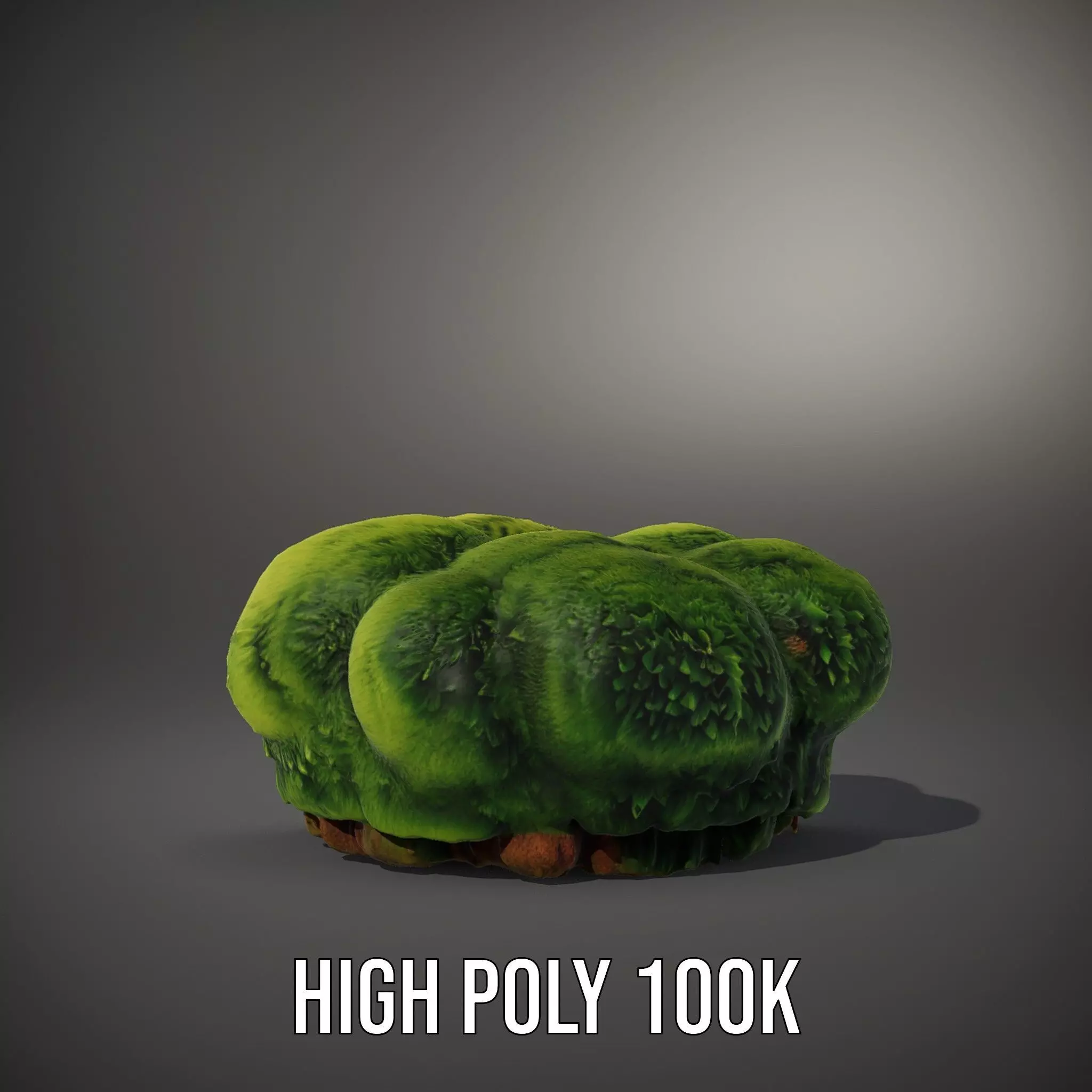 Vibrant Green Moss Clump model pack Low-poly 3D model_8