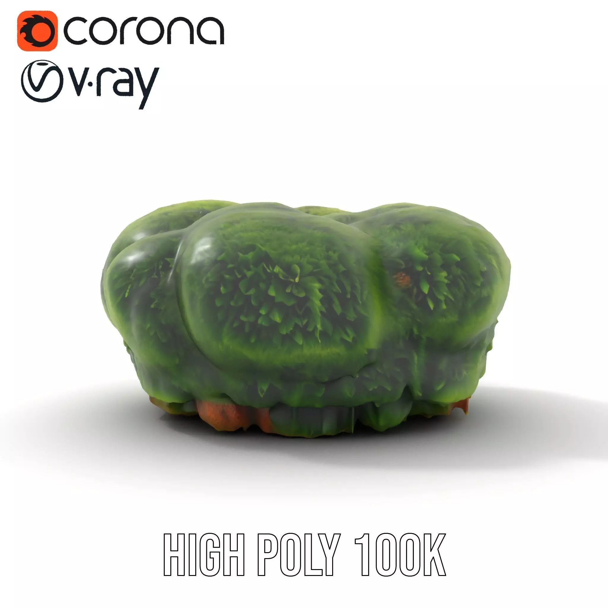 Vibrant Green Moss Clump model pack Low-poly 3D model_32