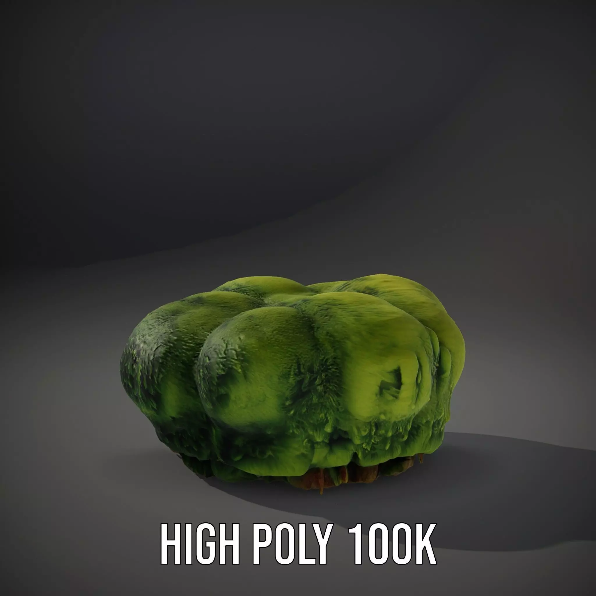 Vibrant Green Moss Clump model pack Low-poly 3D model_10