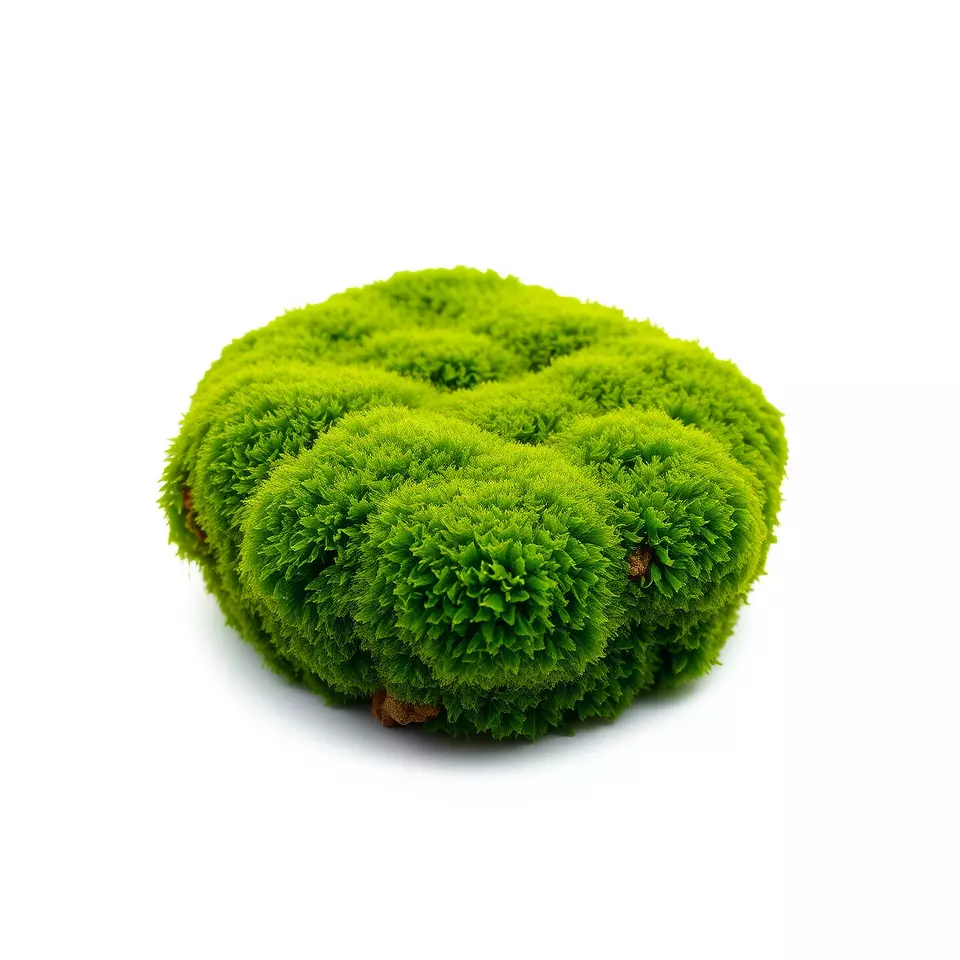 Vibrant Green Moss Clump model pack Low-poly 3D model_2