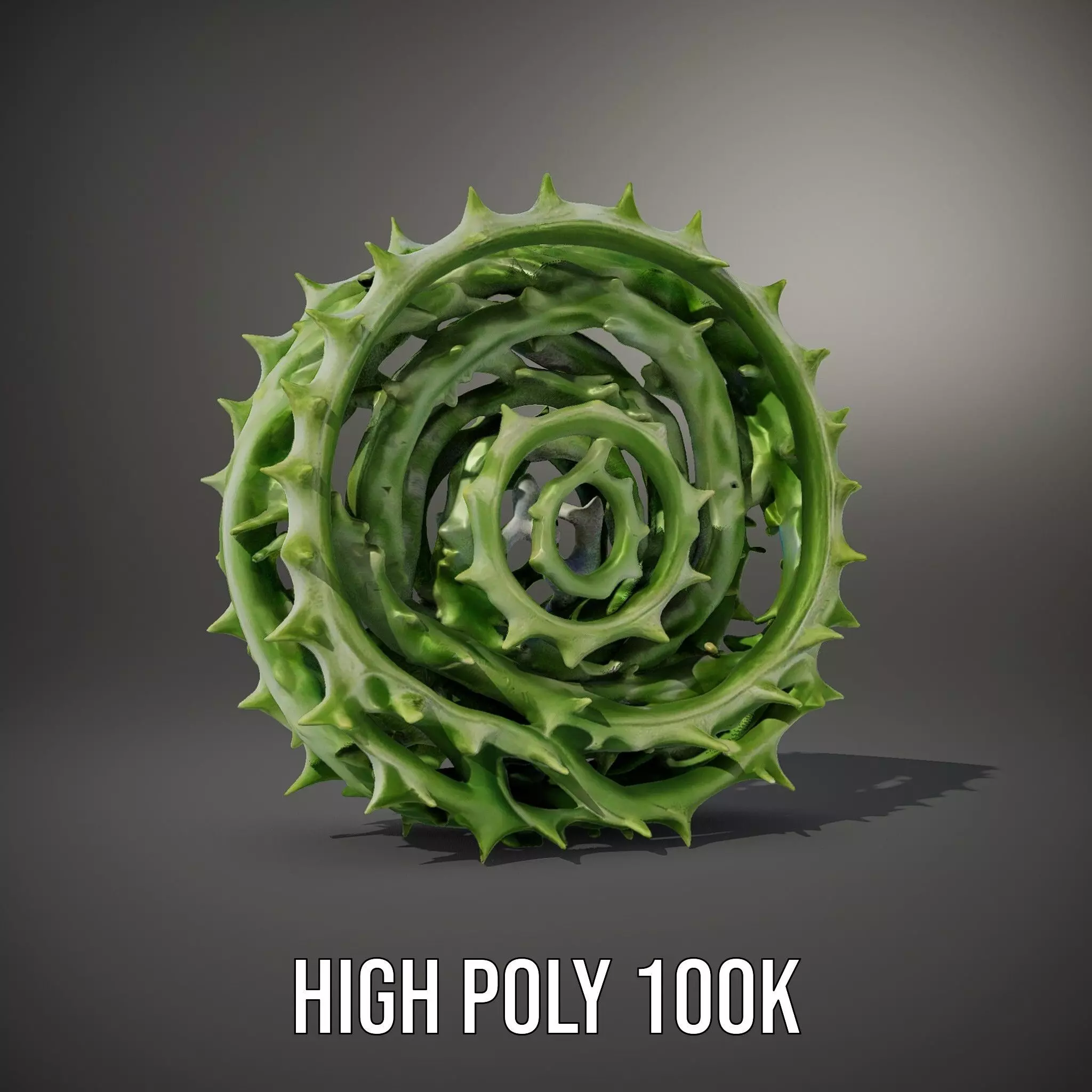 Green Spiral Thorn model pack Low-poly 3D model_10