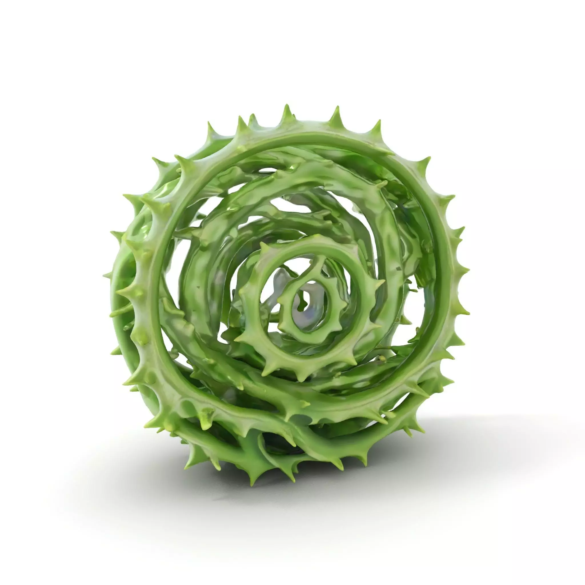 Green Spiral Thorn model pack Low-poly 3D model_0