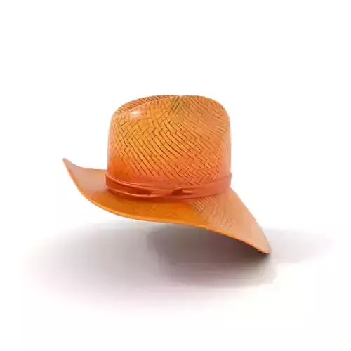 Natural Straw Hat model pack Texture