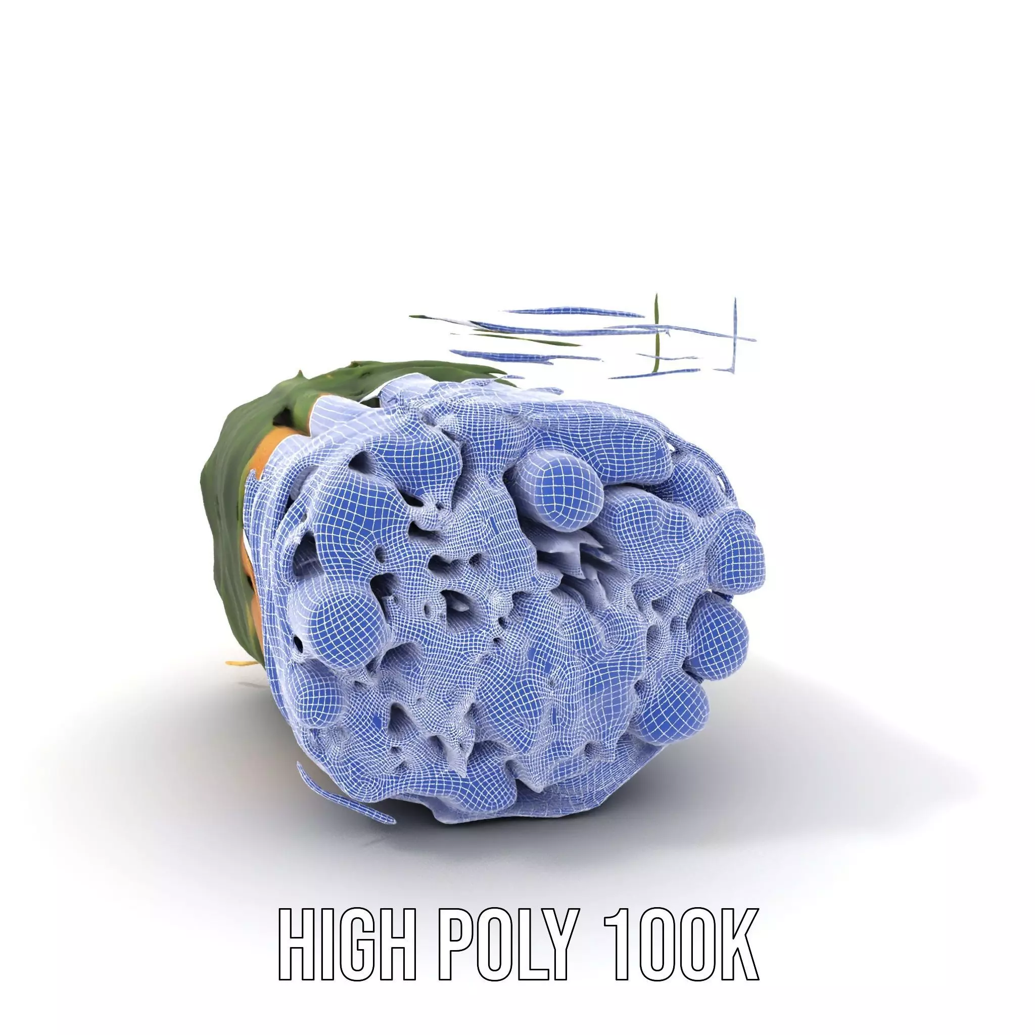 Natural Herb Bundle model pack Low-poly 3D model_4