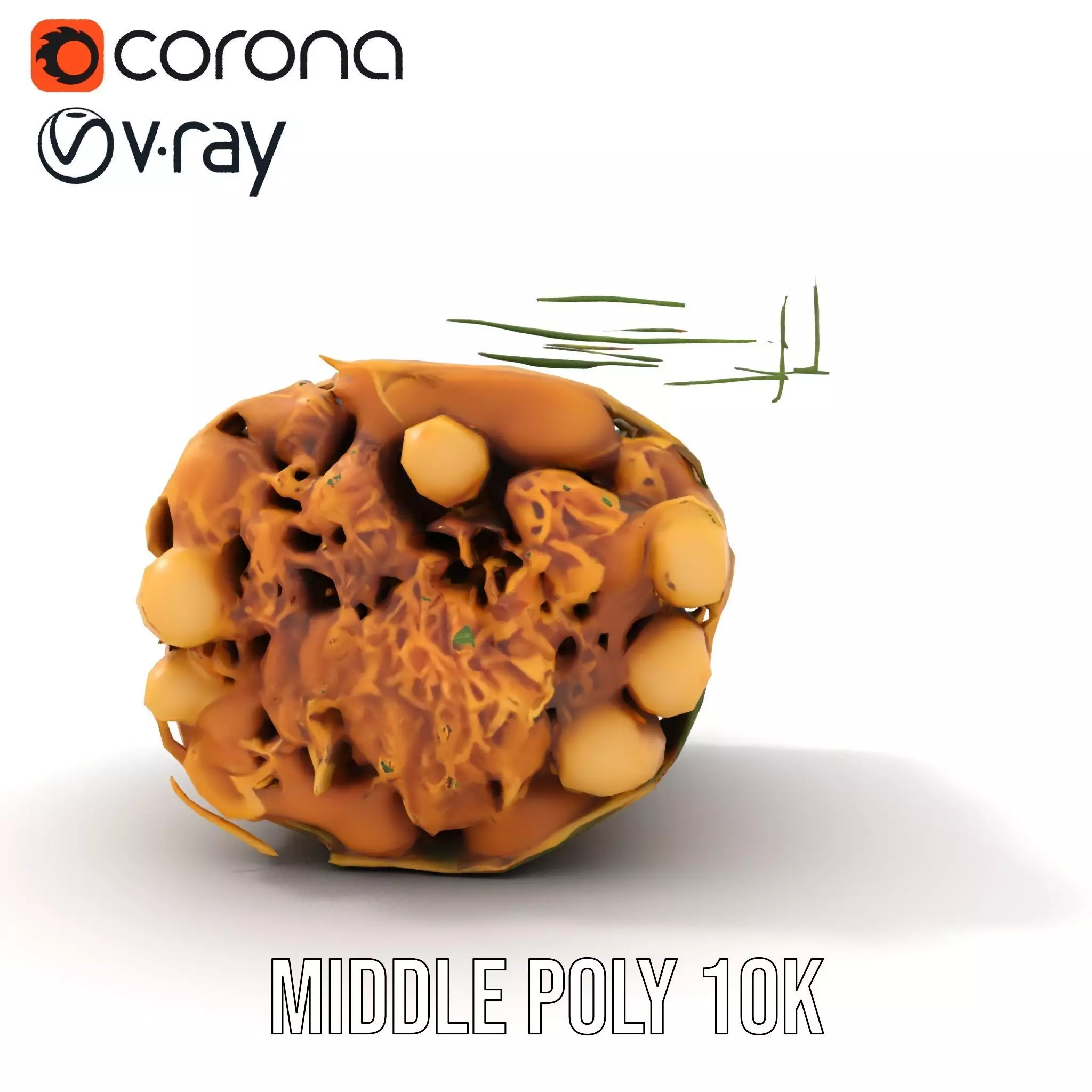 Natural Herb Bundle model pack Low-poly 3D model_5